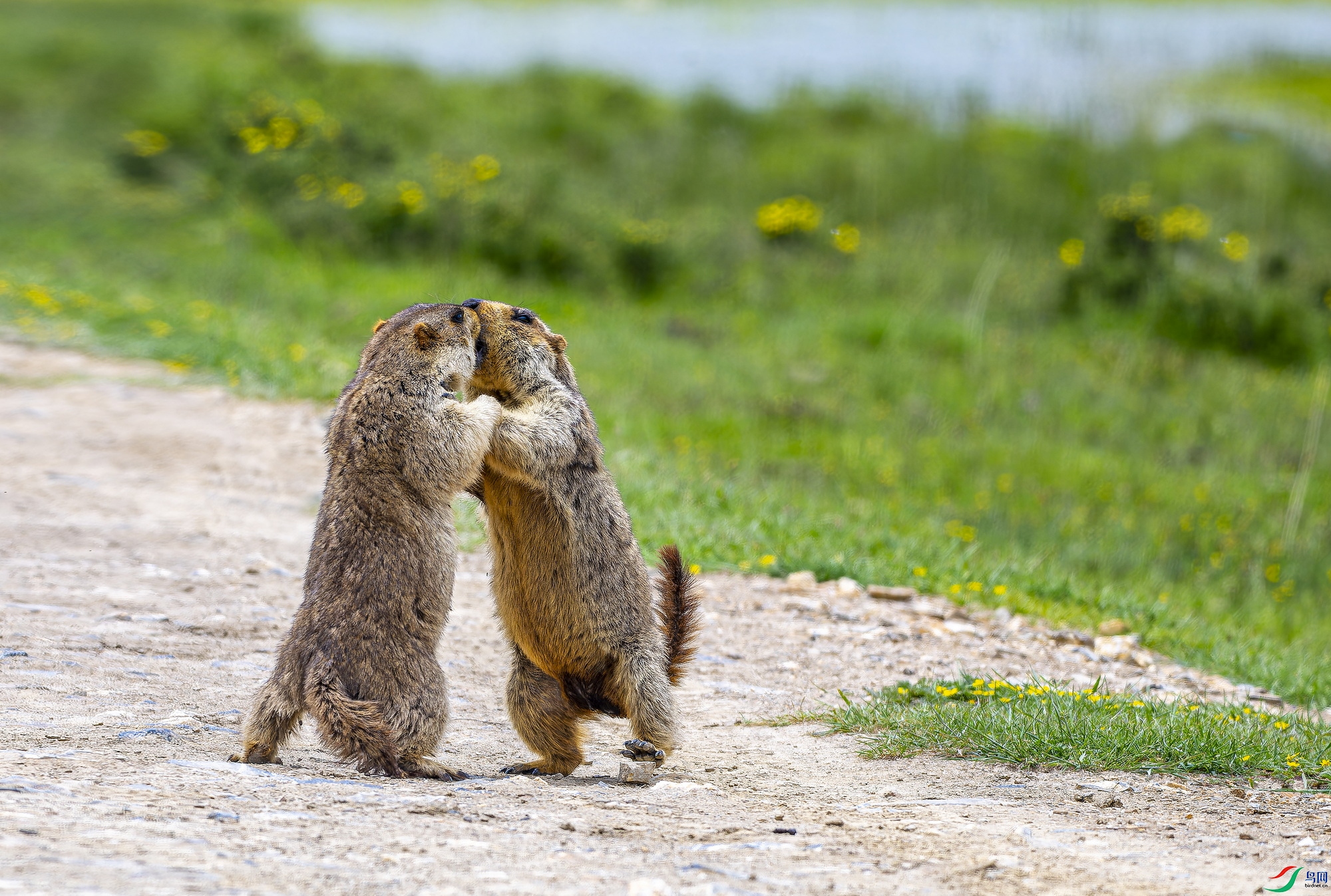 ������ (73)-1.jpg