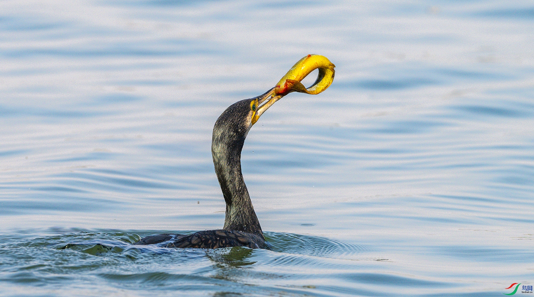 2359 ����.jpg