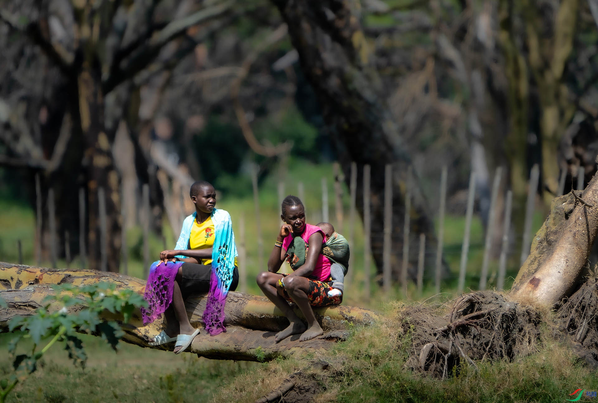 _DSC4458-����ǿ-NR ����.jpg