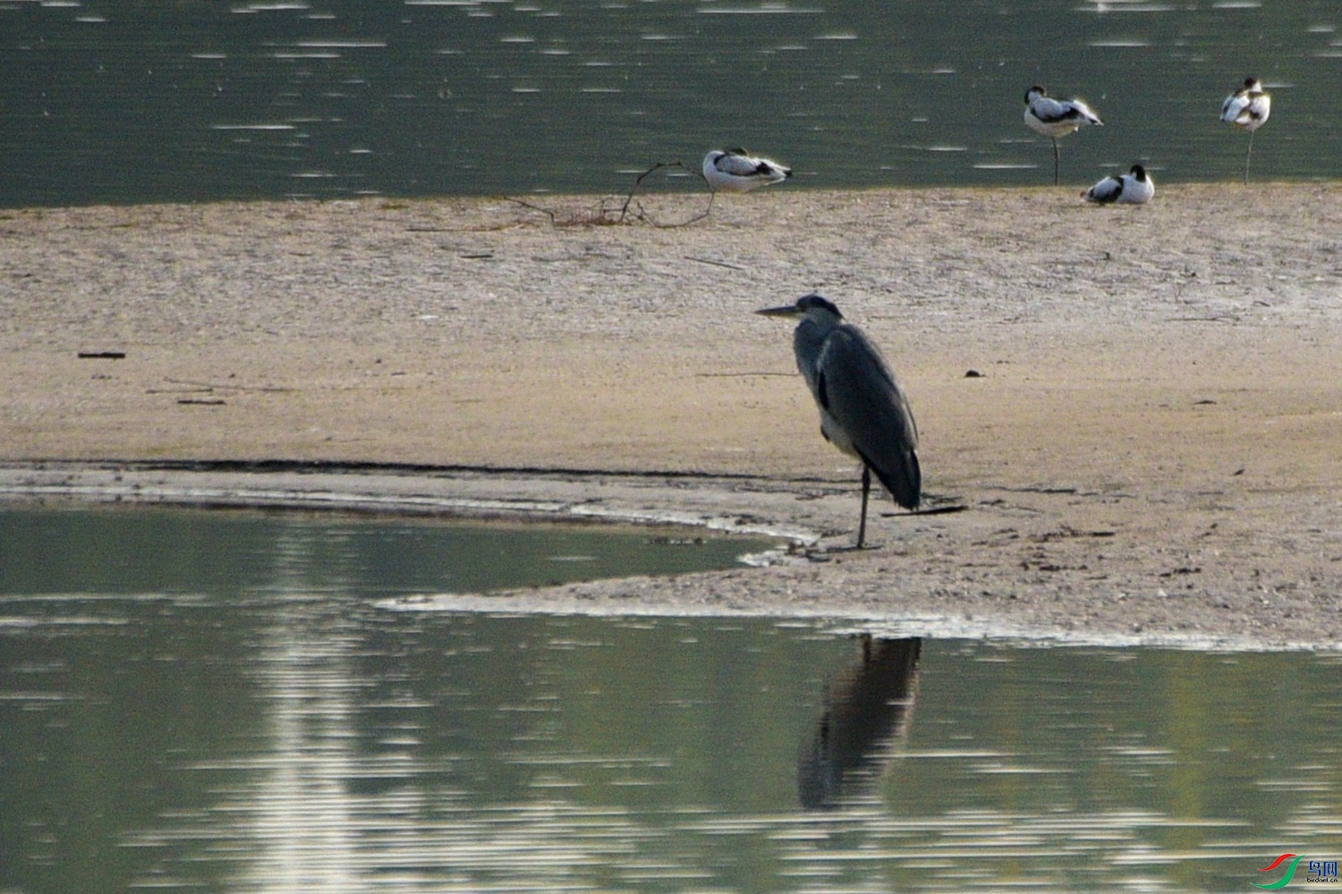 DSC_7865.JPG