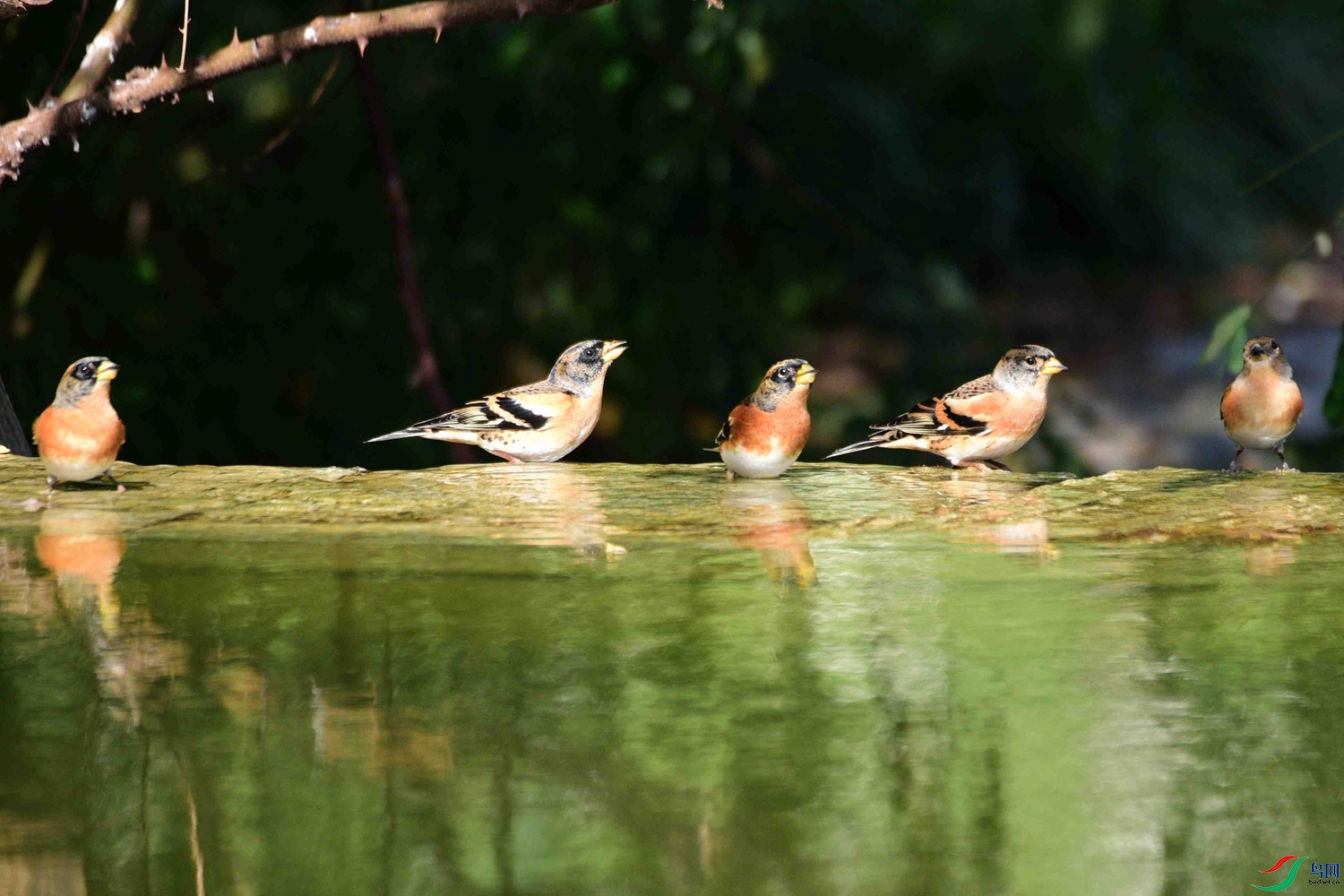 DSC_9845.JPG