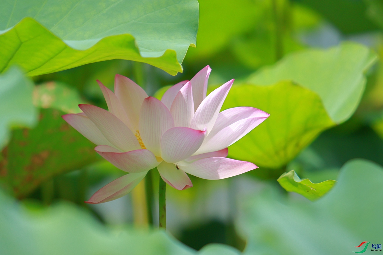 EOS_6135_����.jpg