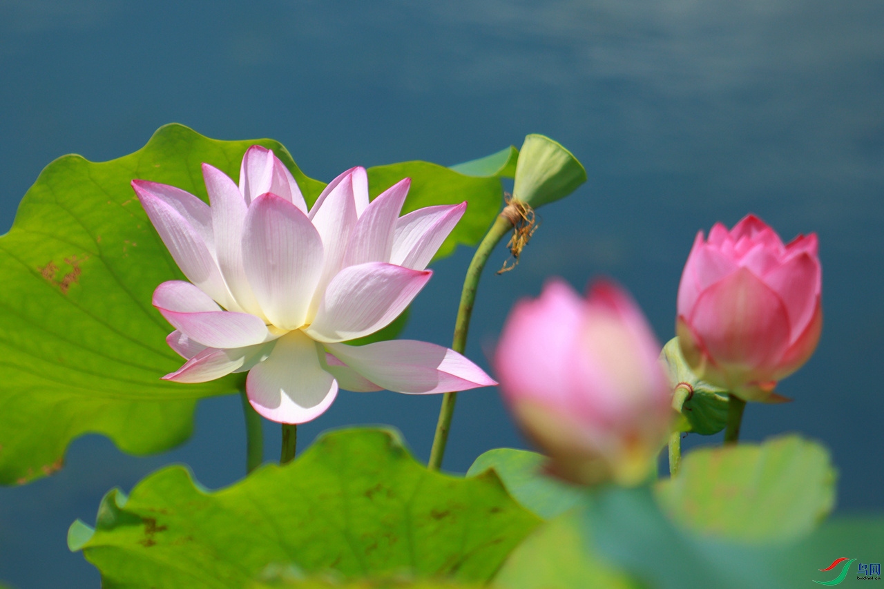 EOS_6078_����.jpg