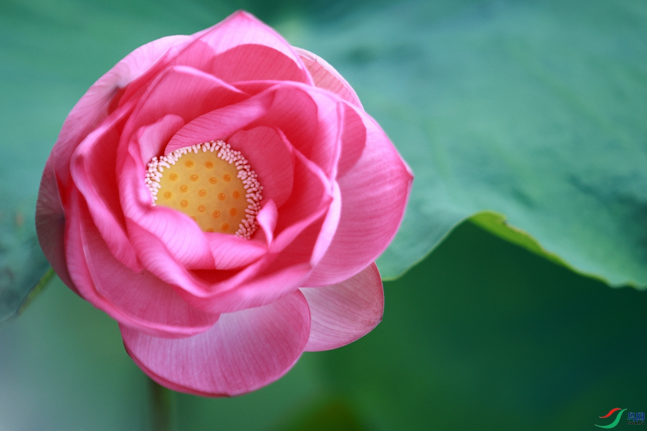 EOS_6147_����.jpg
