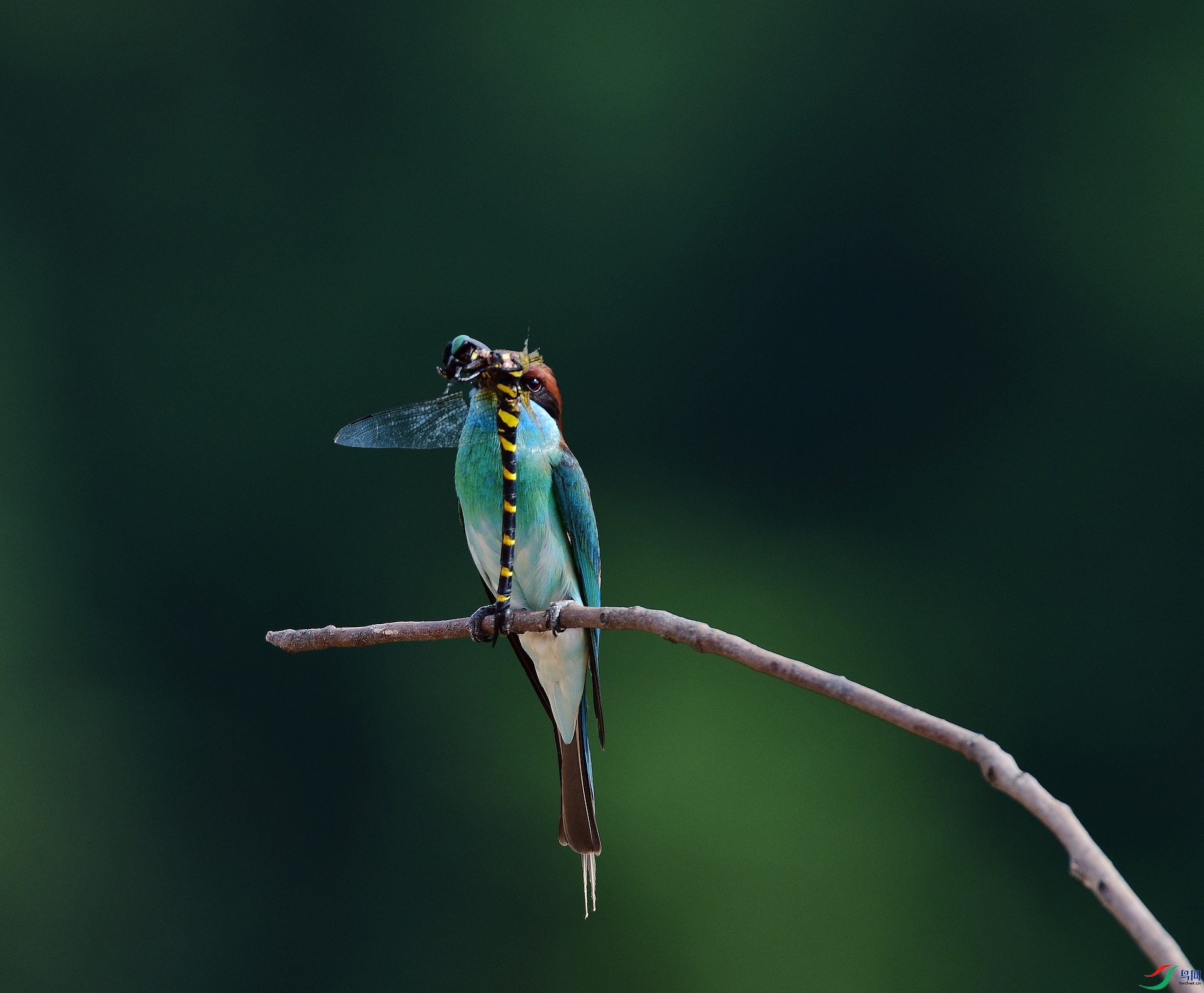 D8I_5629.jpg