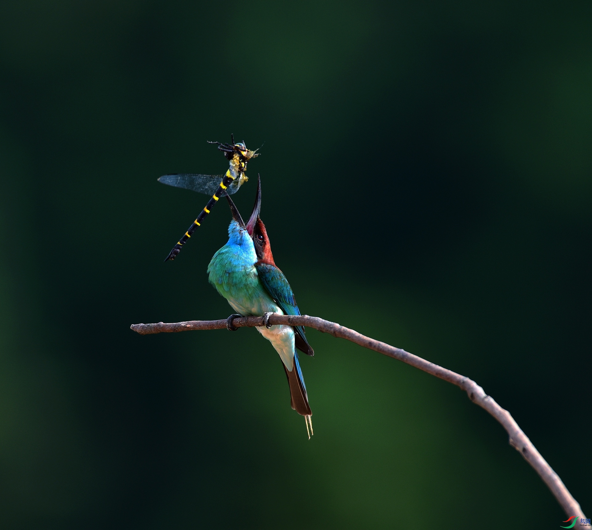 D8I_5631.jpg