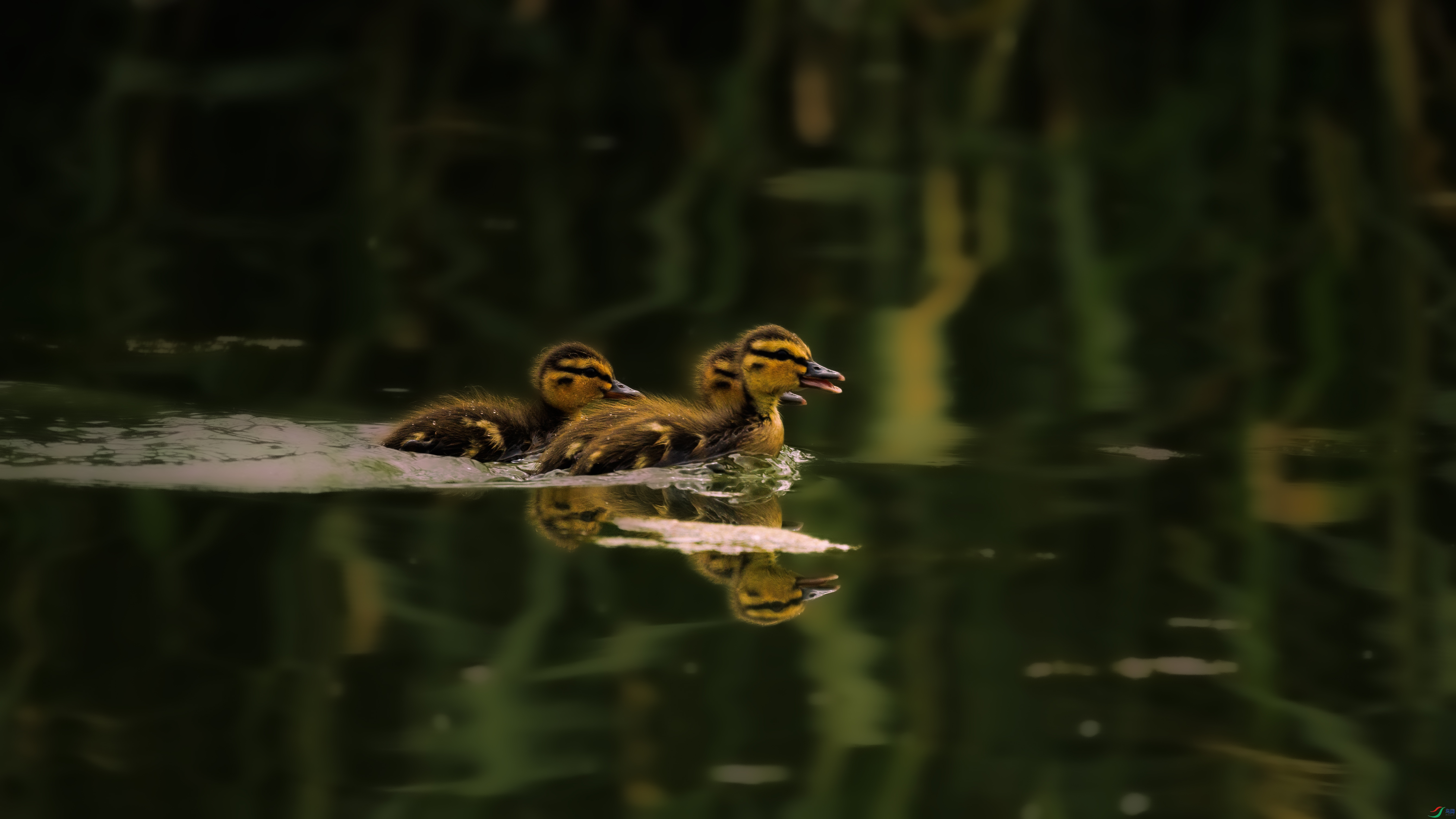 7X5A4269 ����.jpg