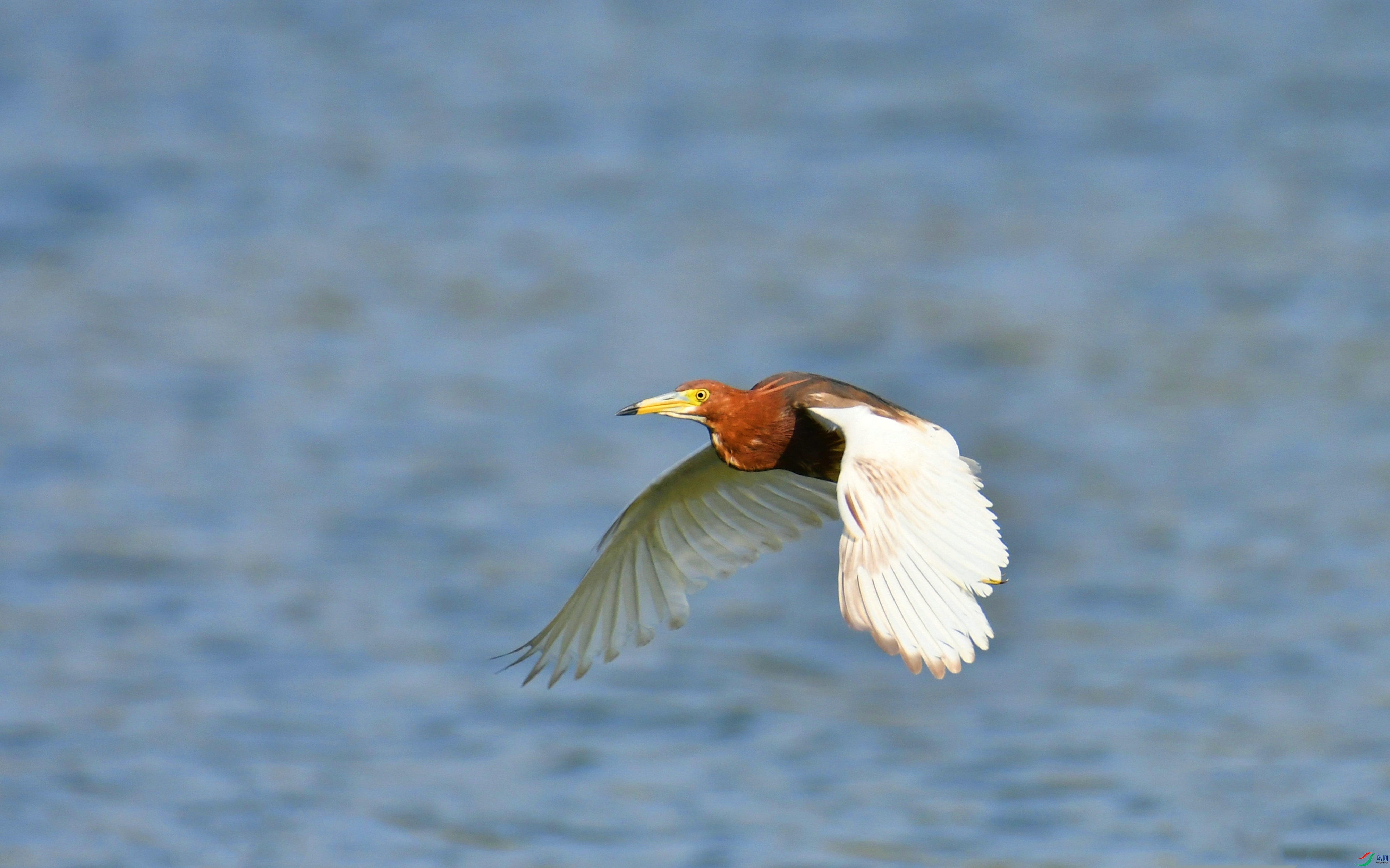 DSC_4787.JPG