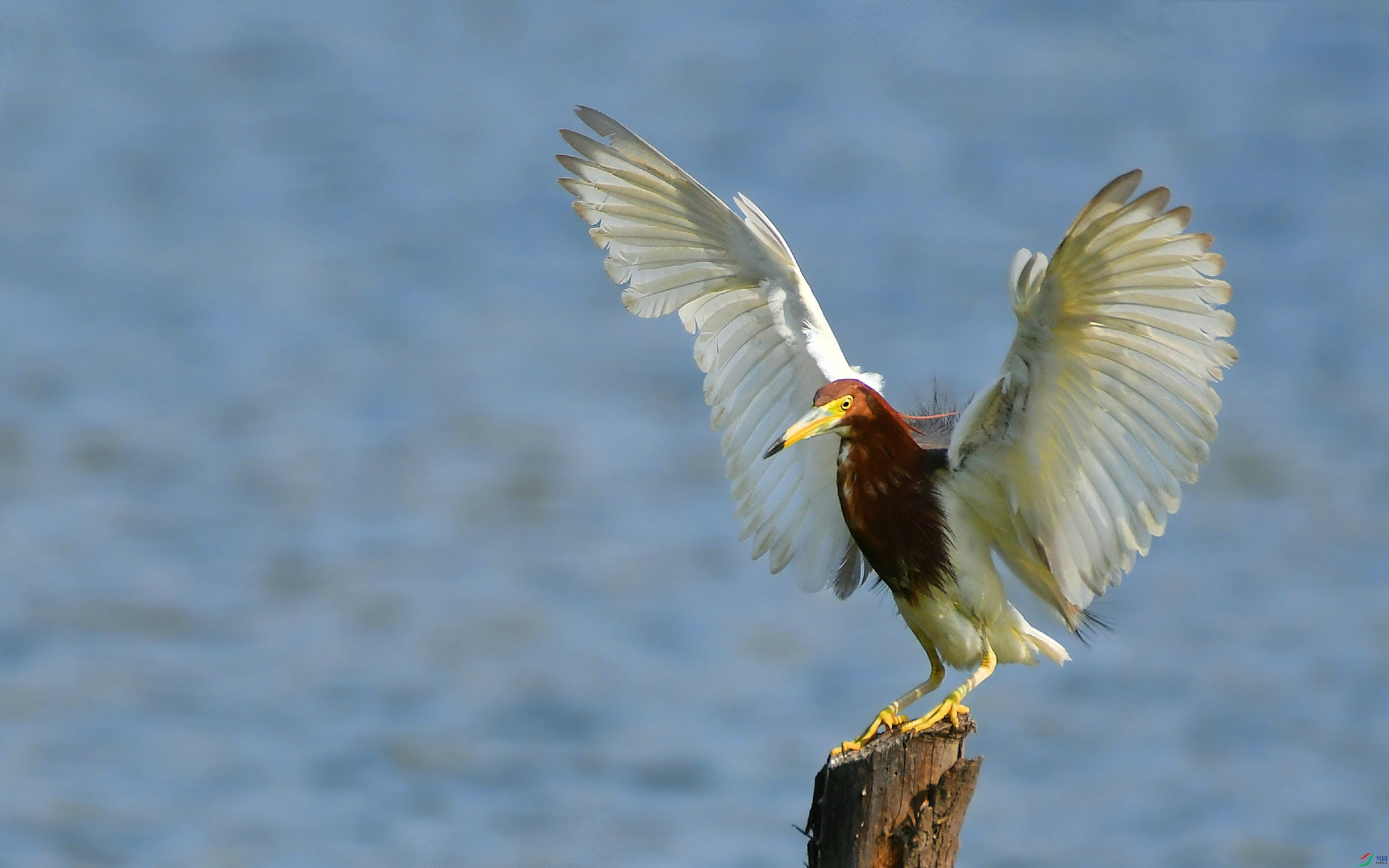 DSC_4796.JPG