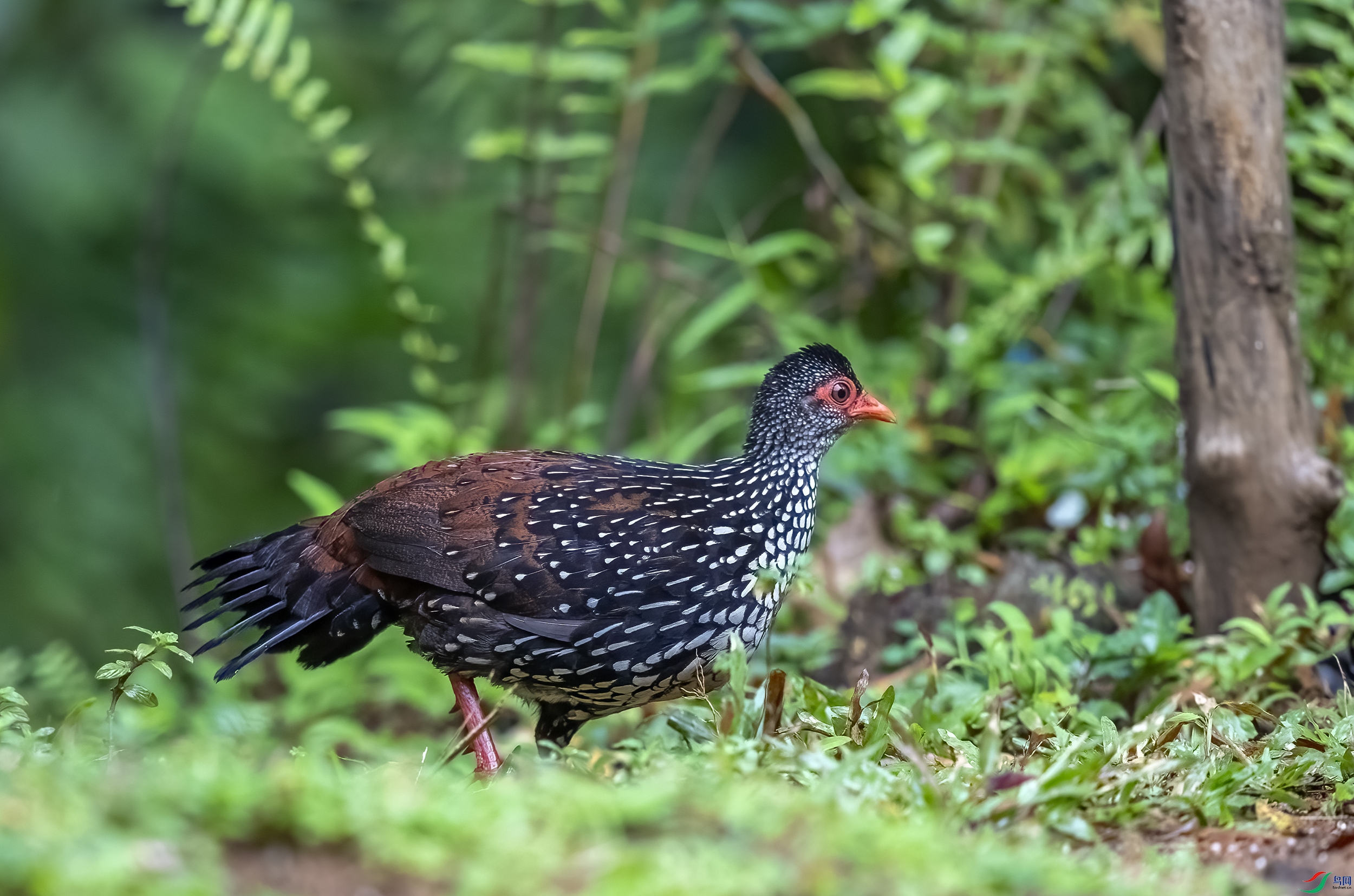 AC3I0343 ����.jpg