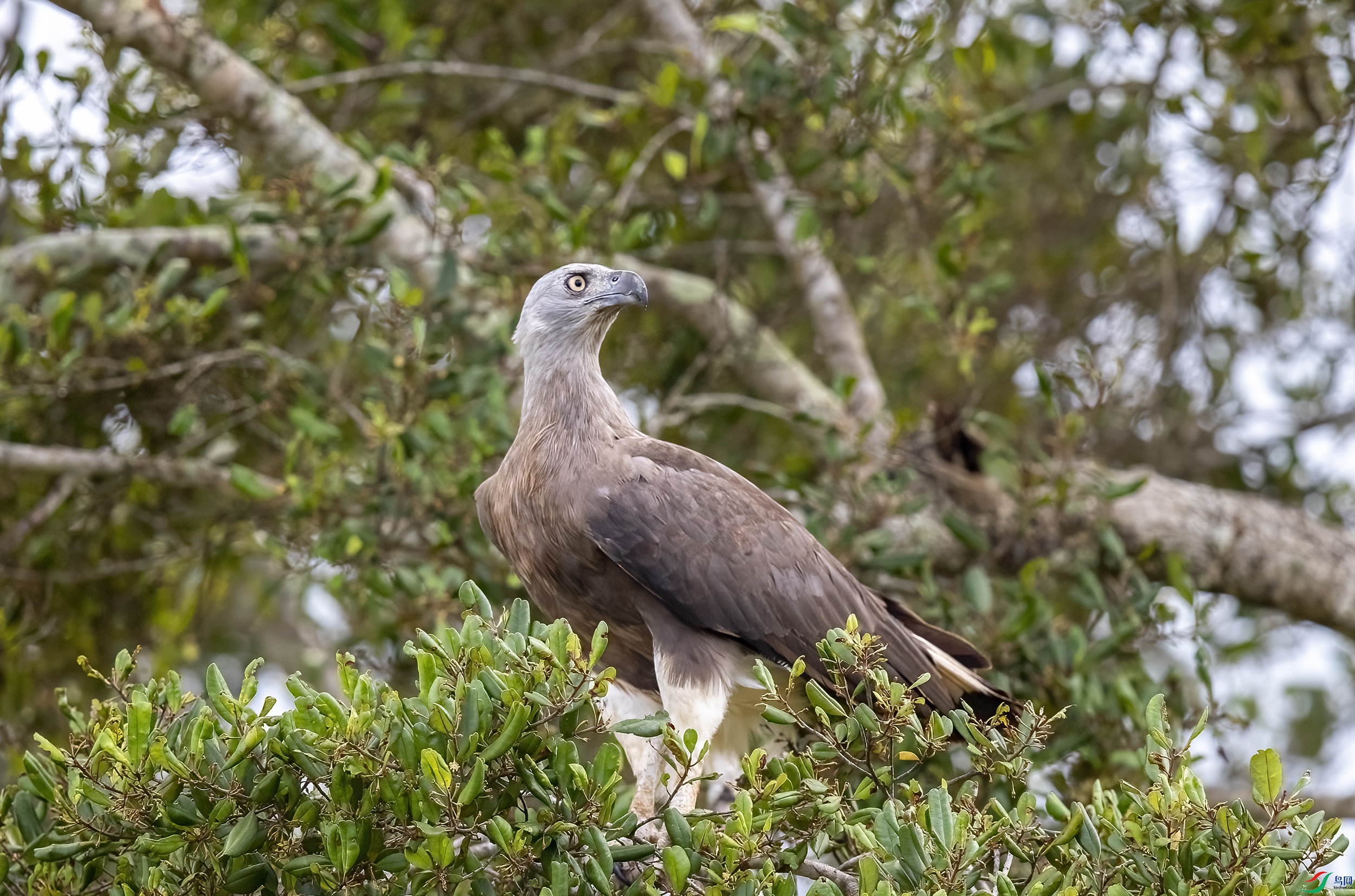 AC3I2171 ����.jpg