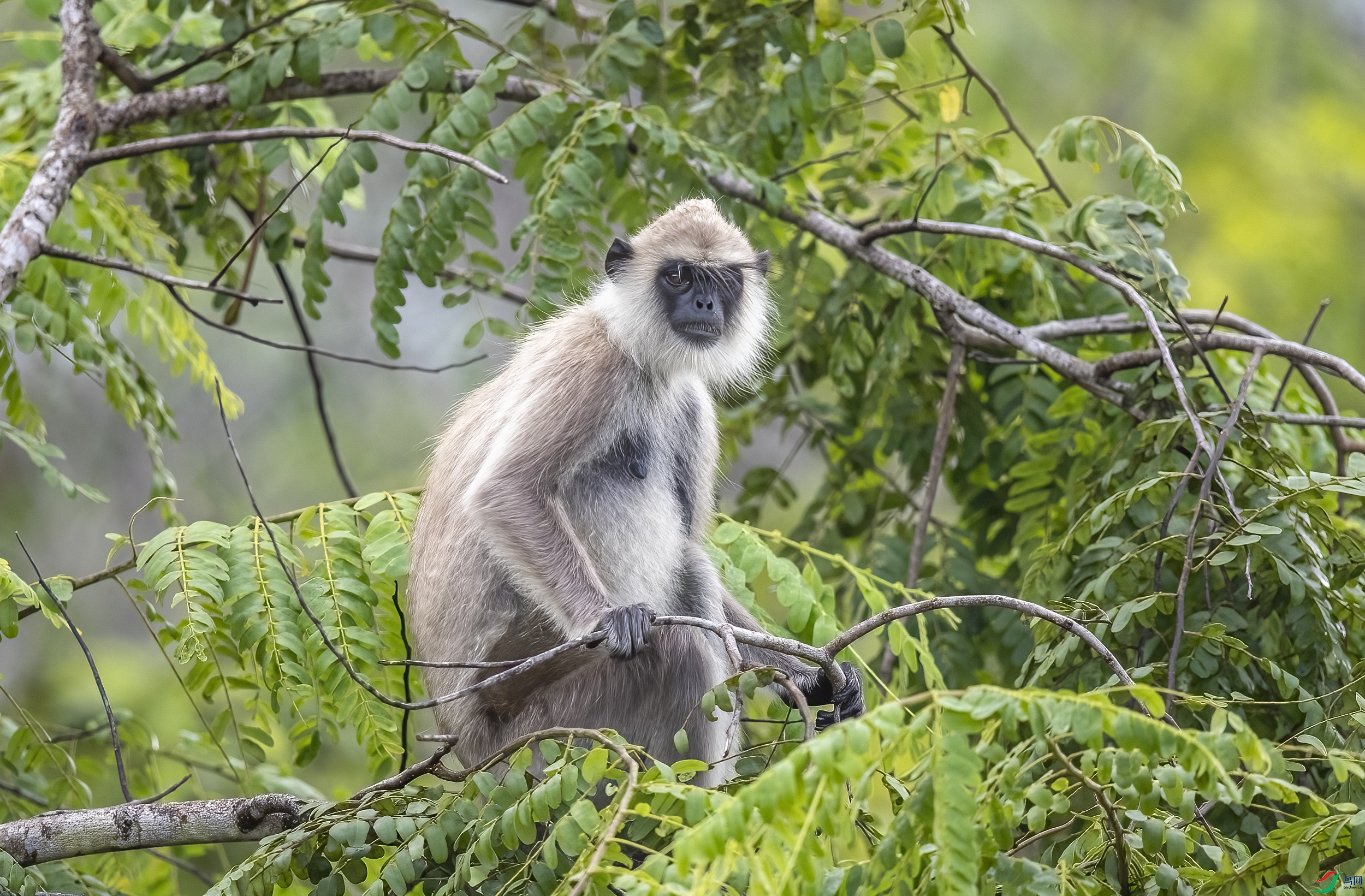 AC3I2036 ����.jpg