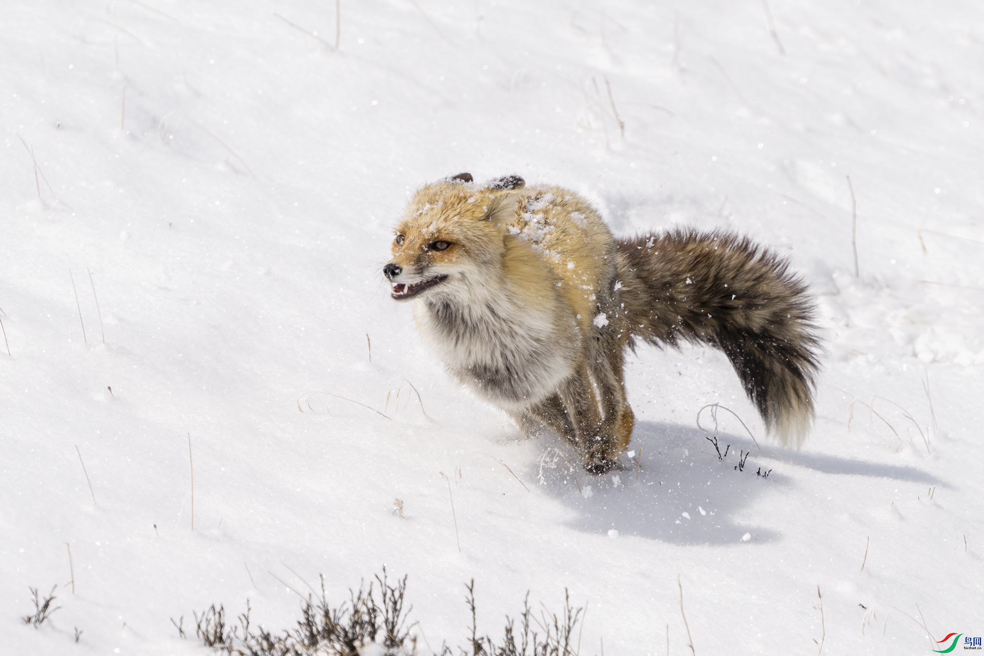 _DSC8178 ���� 1920.jpg