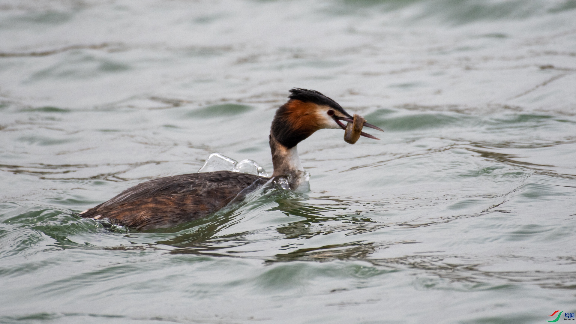 DSC_5038.jpg