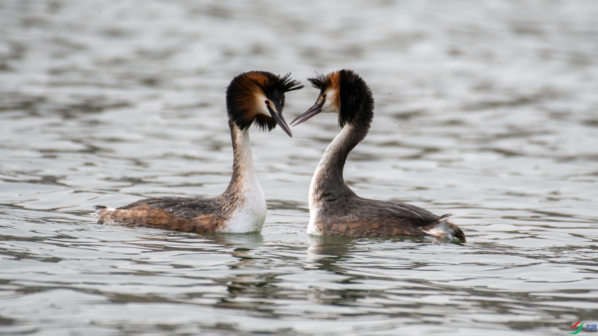 DSC_5050.jpg