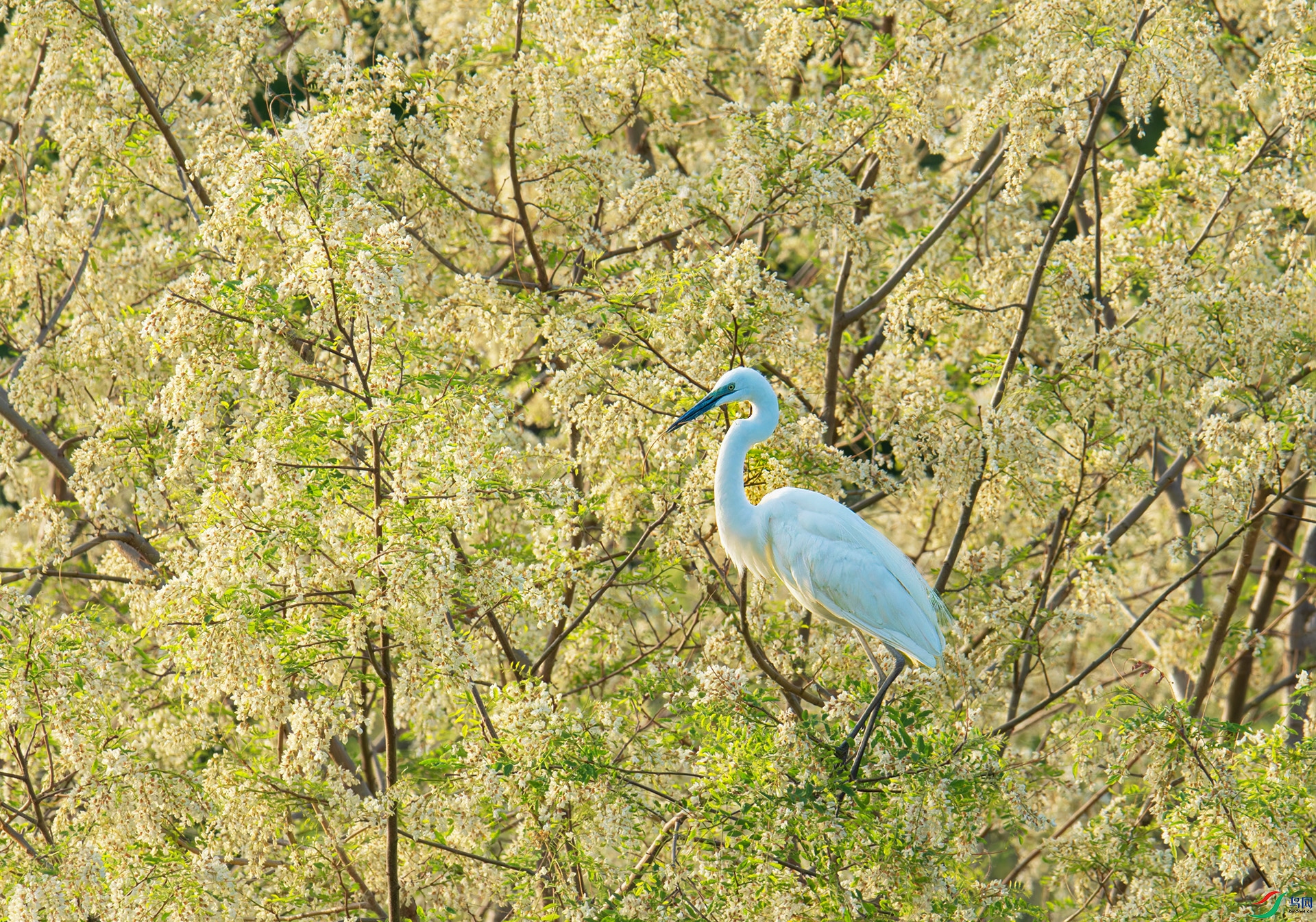 DSC_4521-1.jpg
