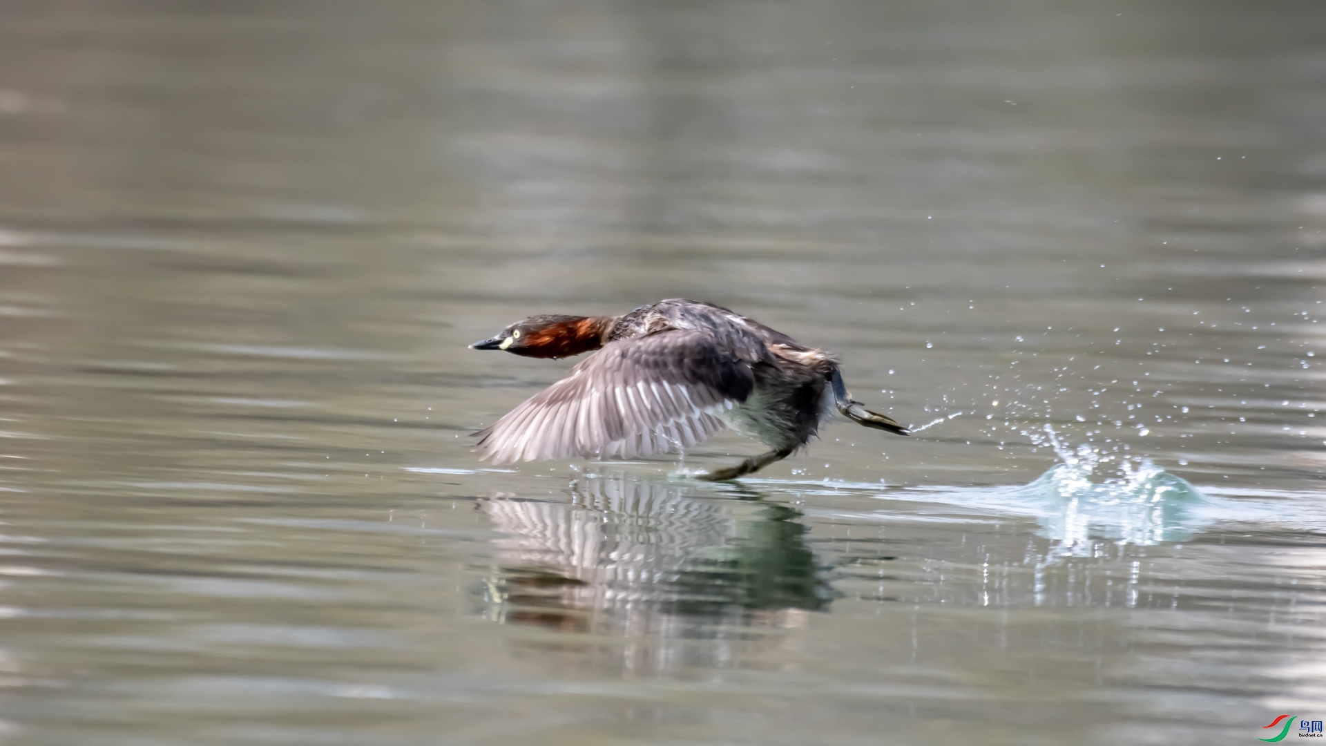 DSC_5108.jpg