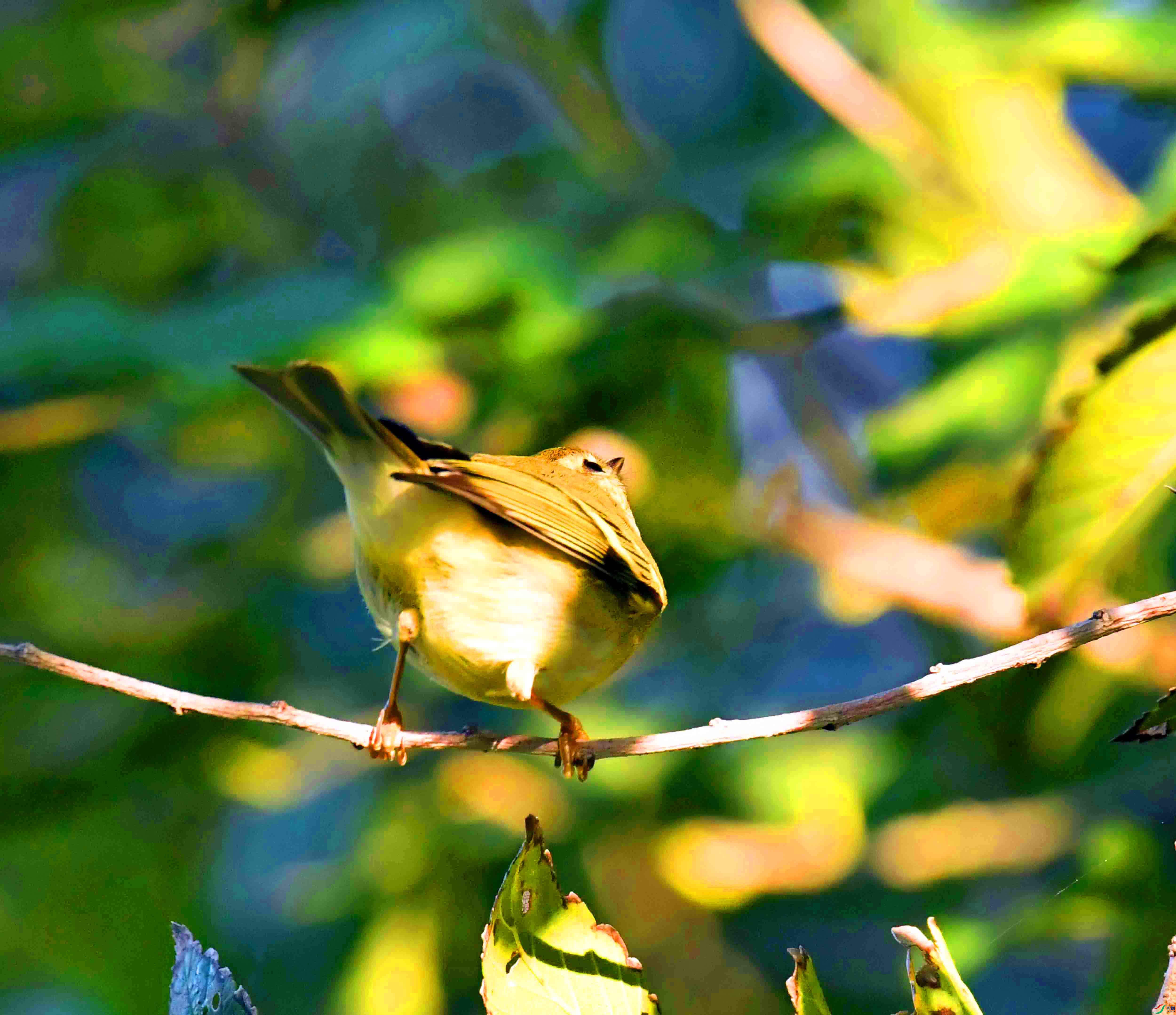 DSC_5086.JPG