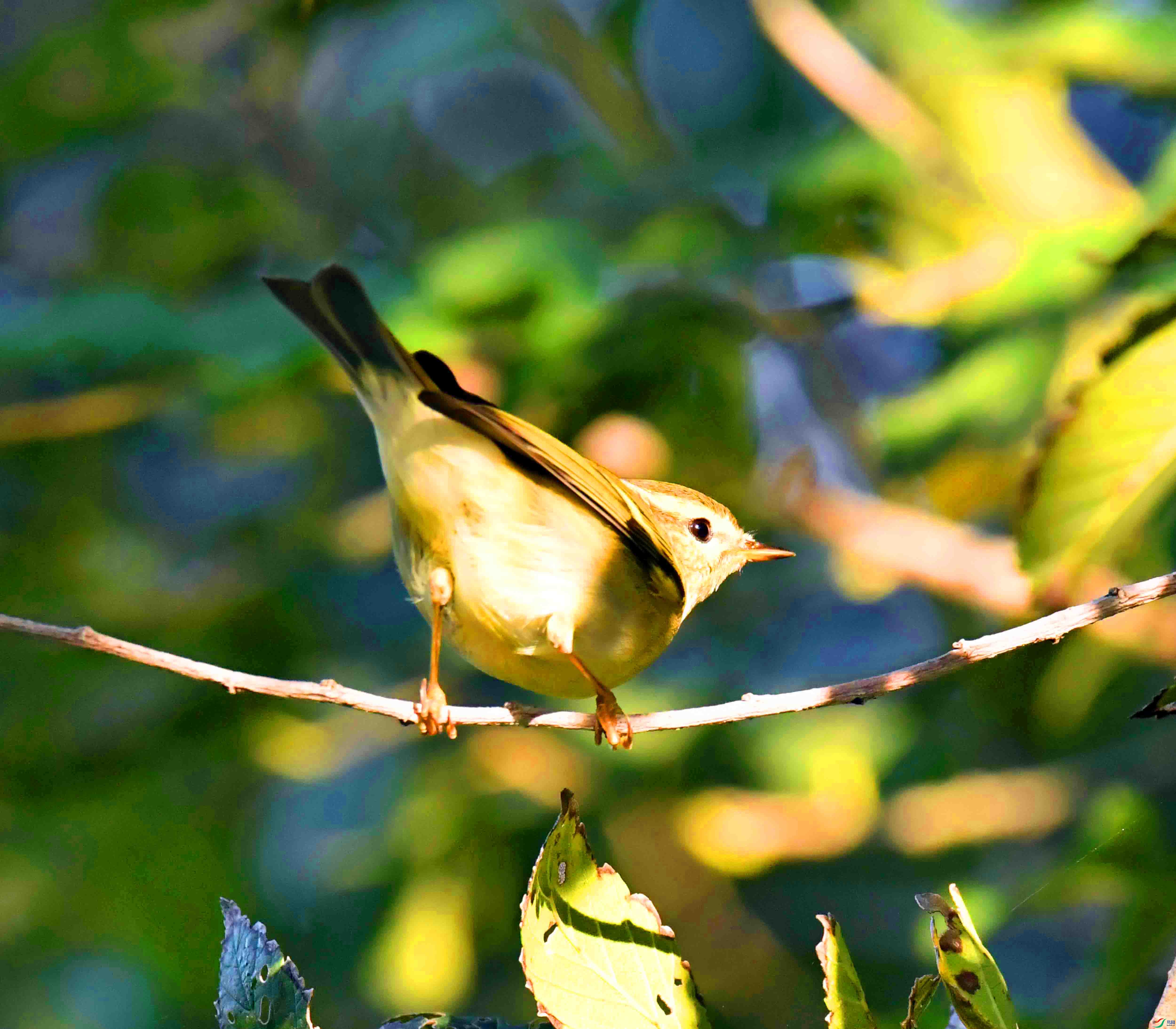 DSC_5085.JPG