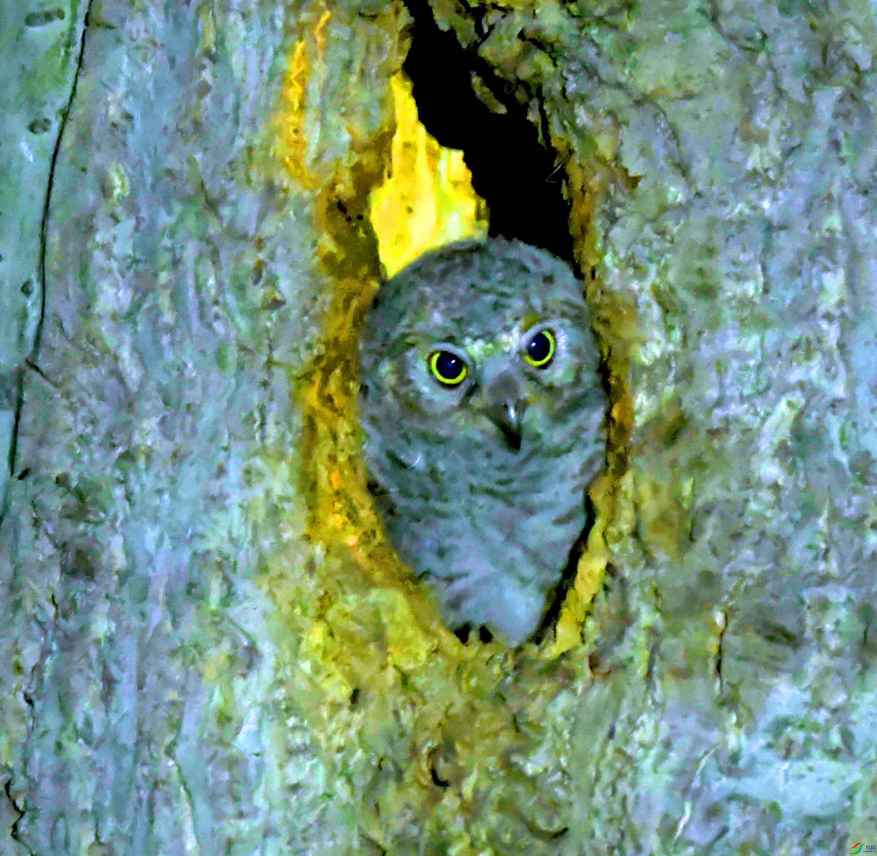 DSC_1352.JPG