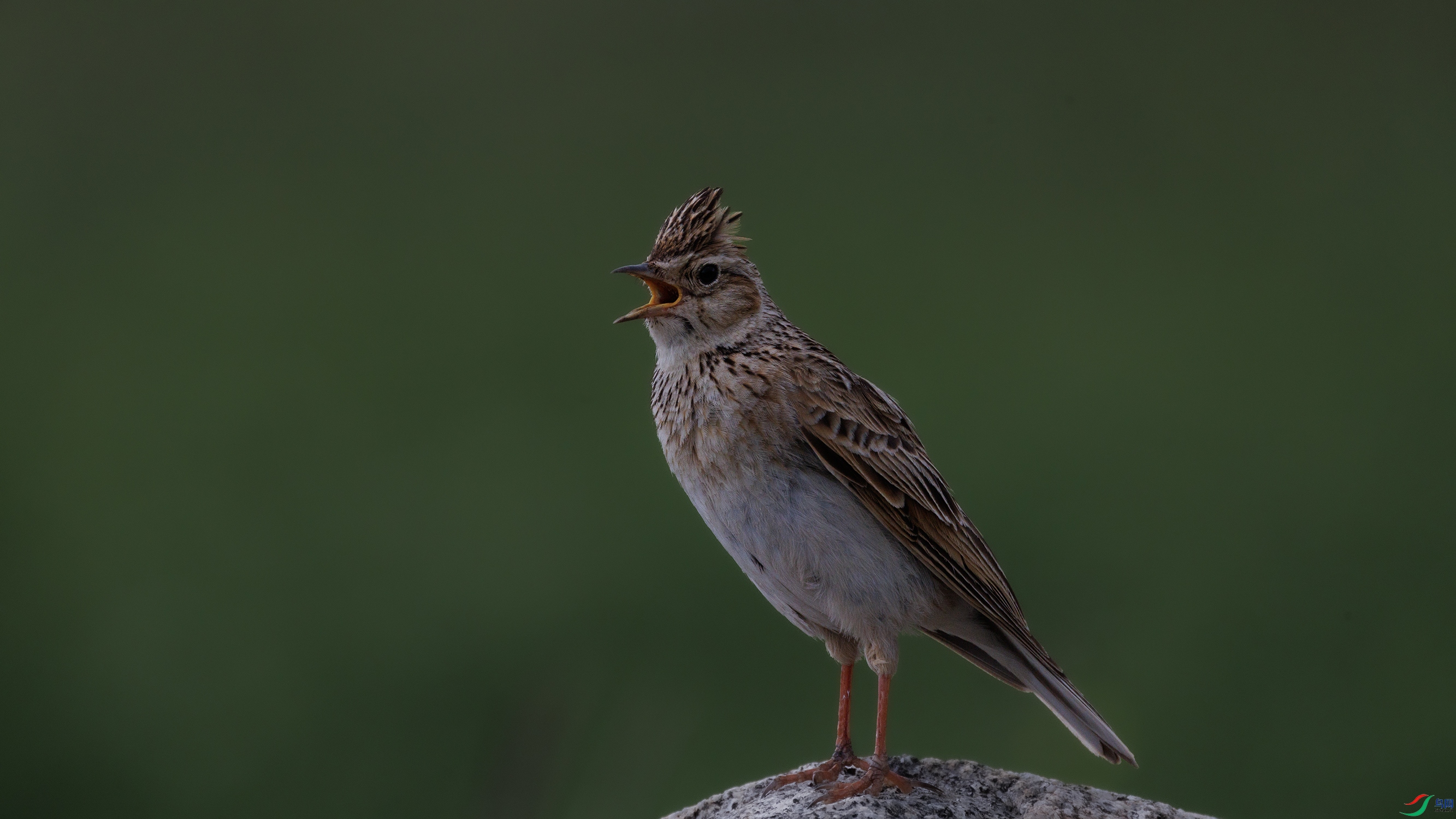 7X5A8911 ����1111.jpg