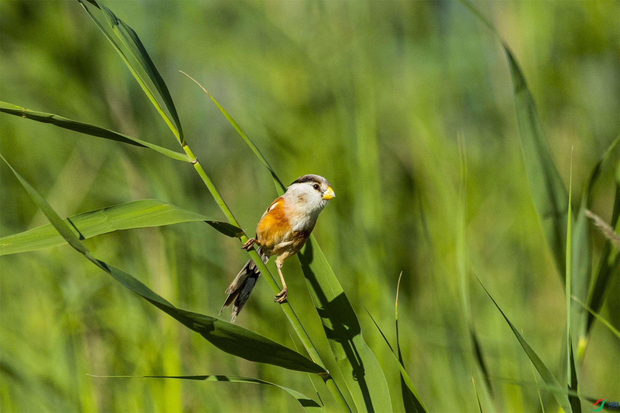 1K3A5128 ����1.jpg