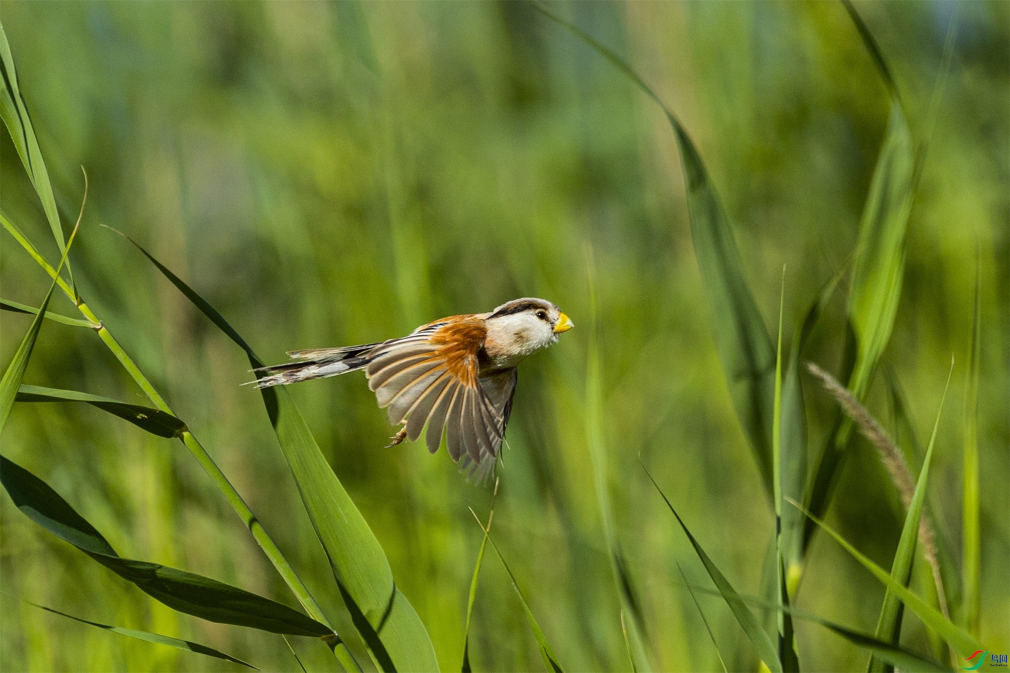 1K3A5131 ����1.jpg