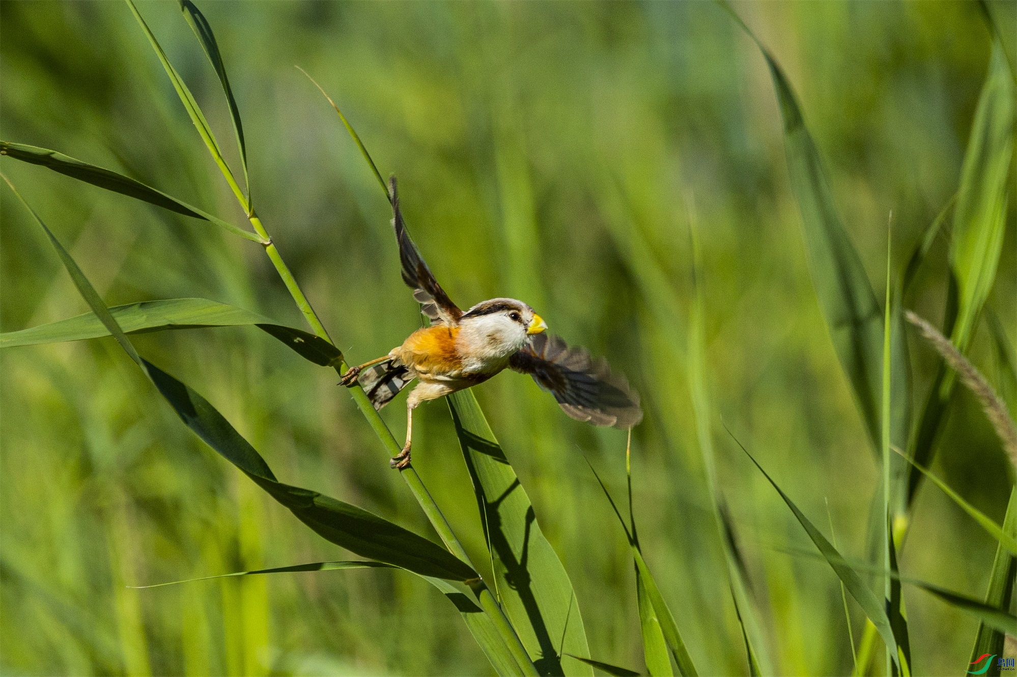 1K3A5130 ����1.jpg