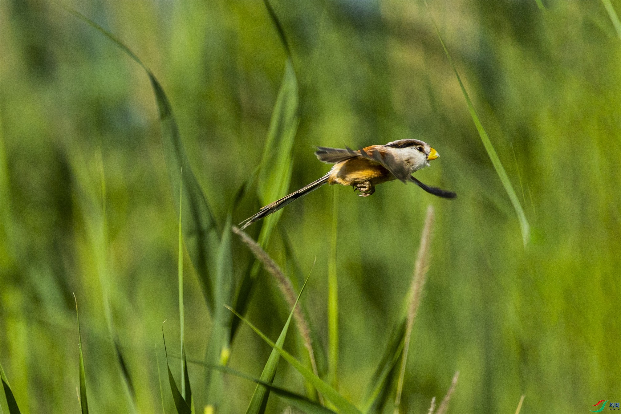 1K3A5134 ����1.jpg