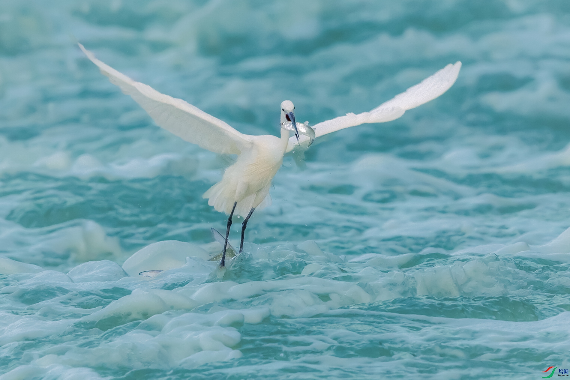 ����----������˲���æ