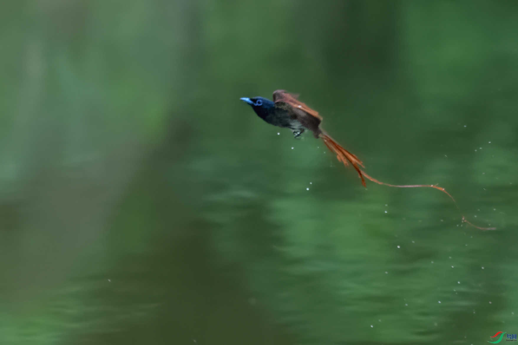 4DSC_3588_DxOa.jpg