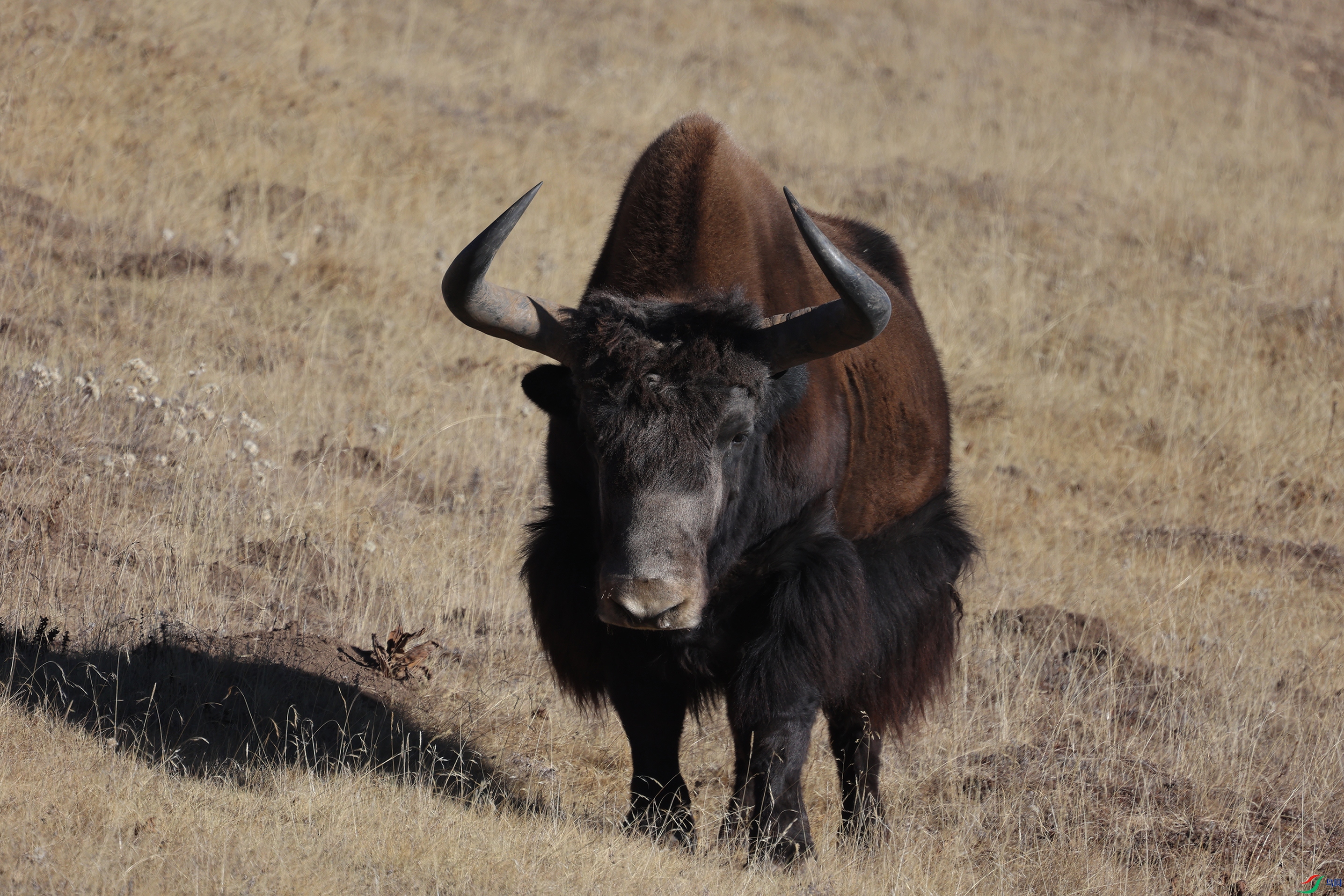 381A9485 ����44444.jpg