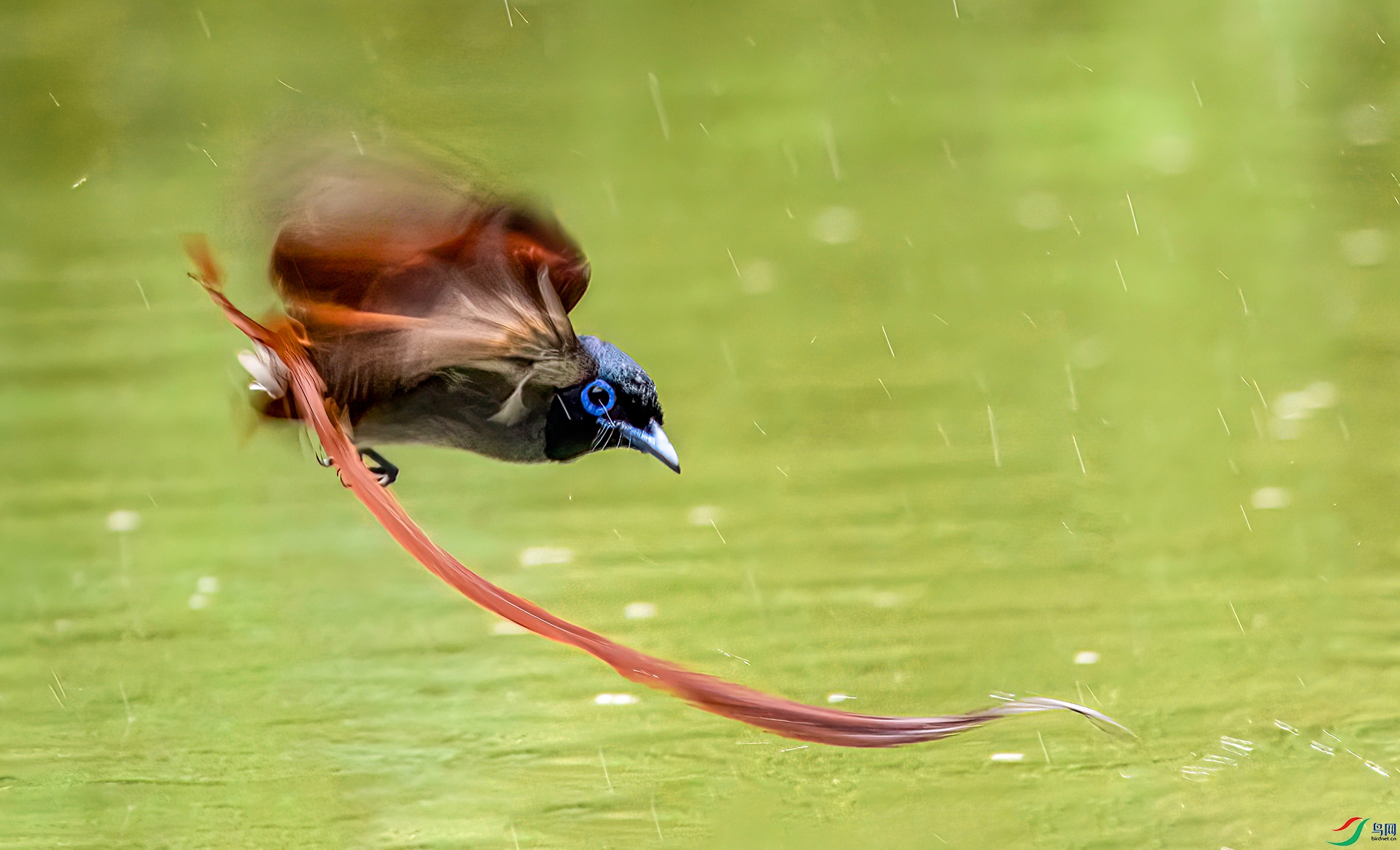 407A2439 ����-Sh-----2 .jpg