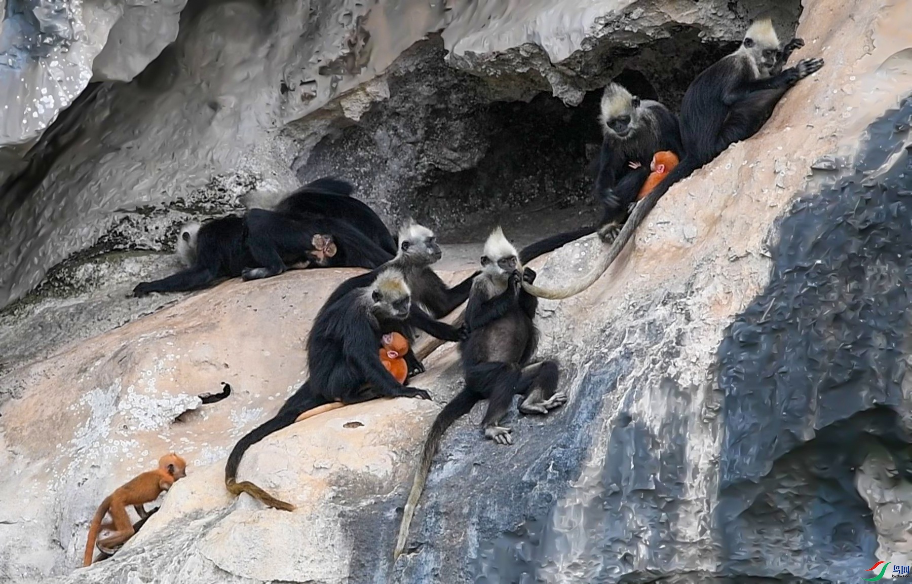 DSC_1685 - frame at 0m31s_����.jpg