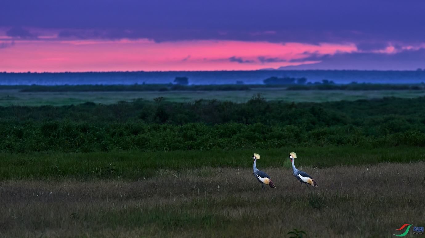 _DSF1816-RAF_DxO_DeepPRIME 2.jpg