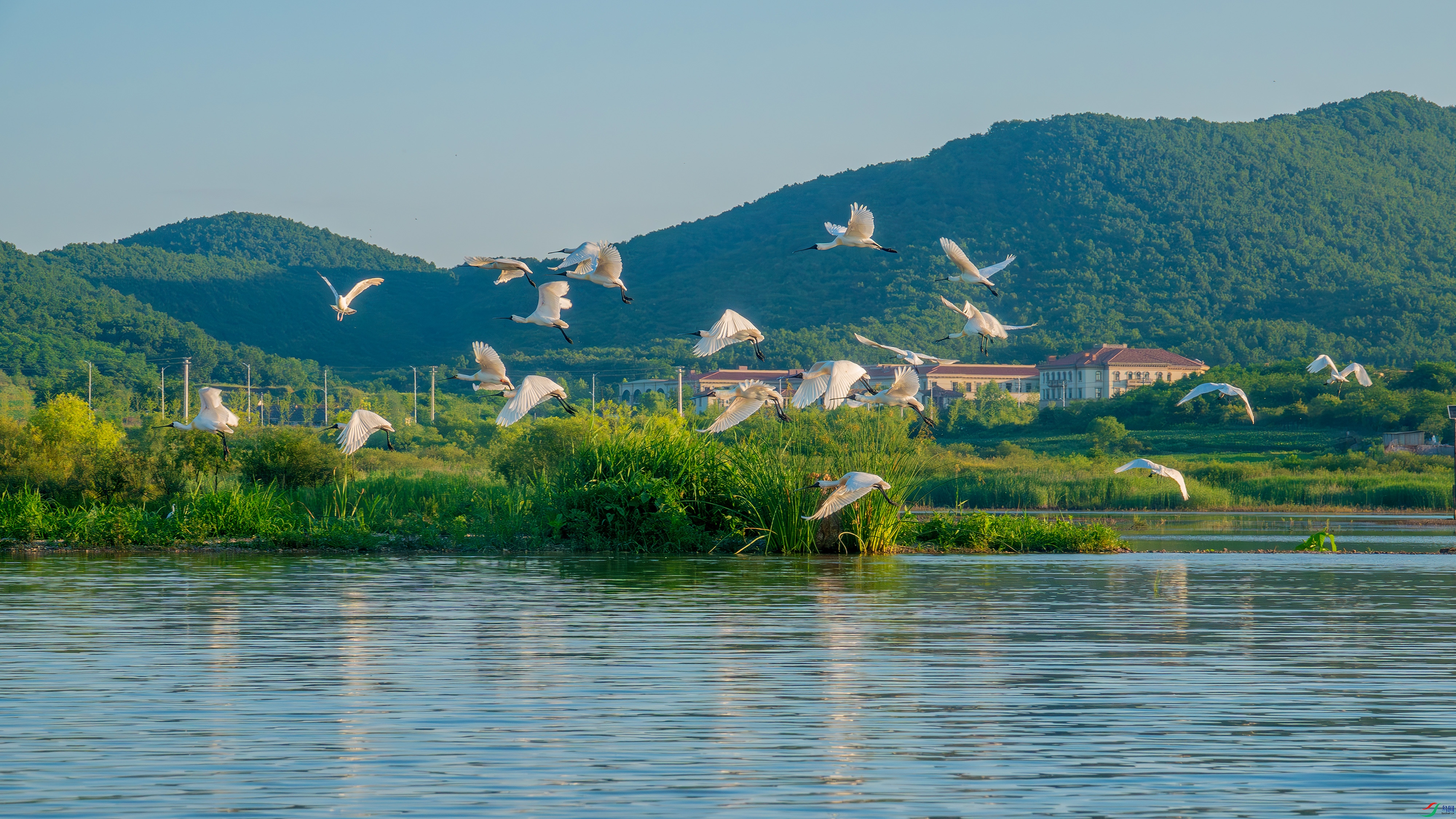 DSC00655- ����.jpg