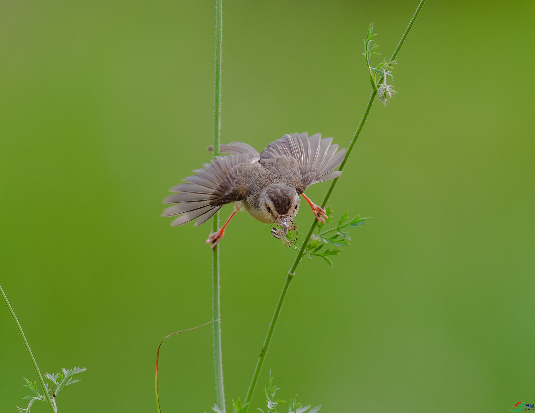 DSC_3943.jpg