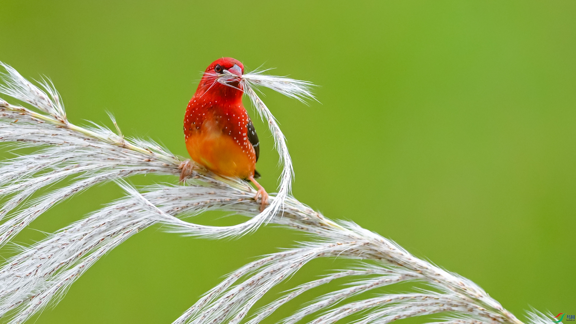 3150 ����.jpg