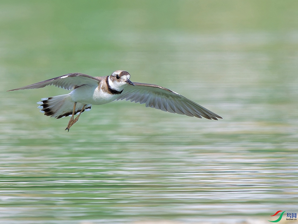 P6290503_DxO - ����.jpg