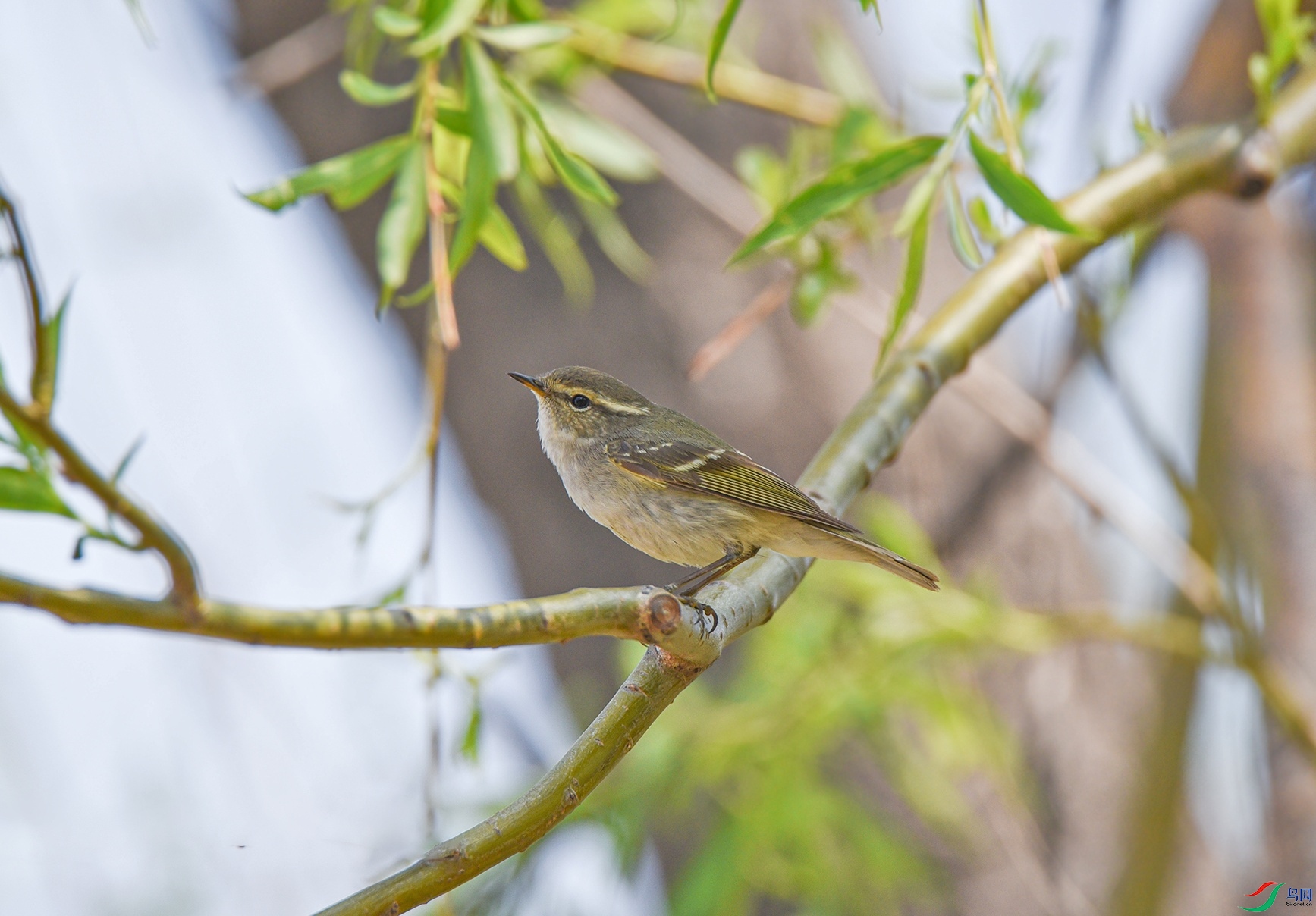 DSC_7795f.jpg