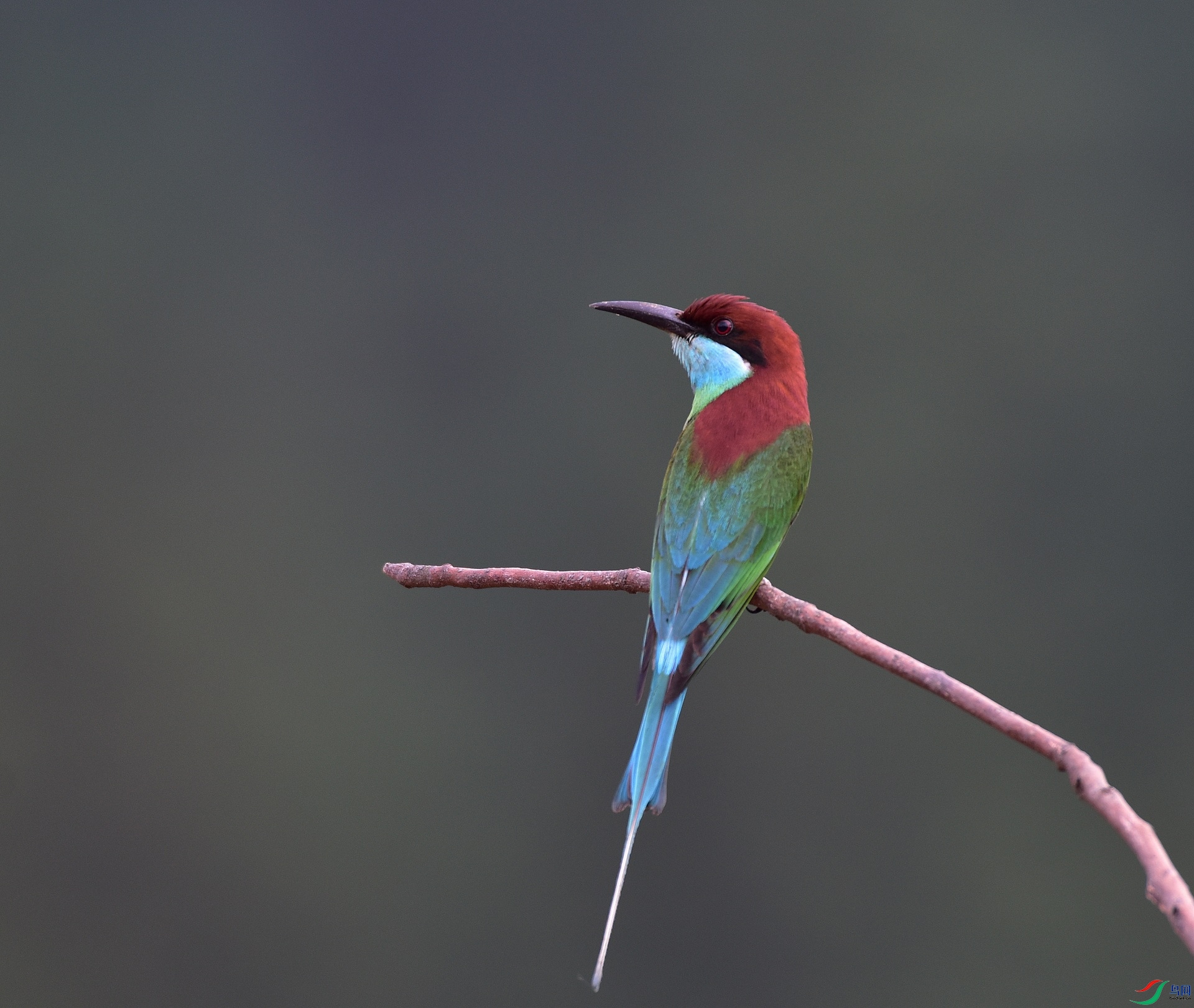 D8I_9985.jpg