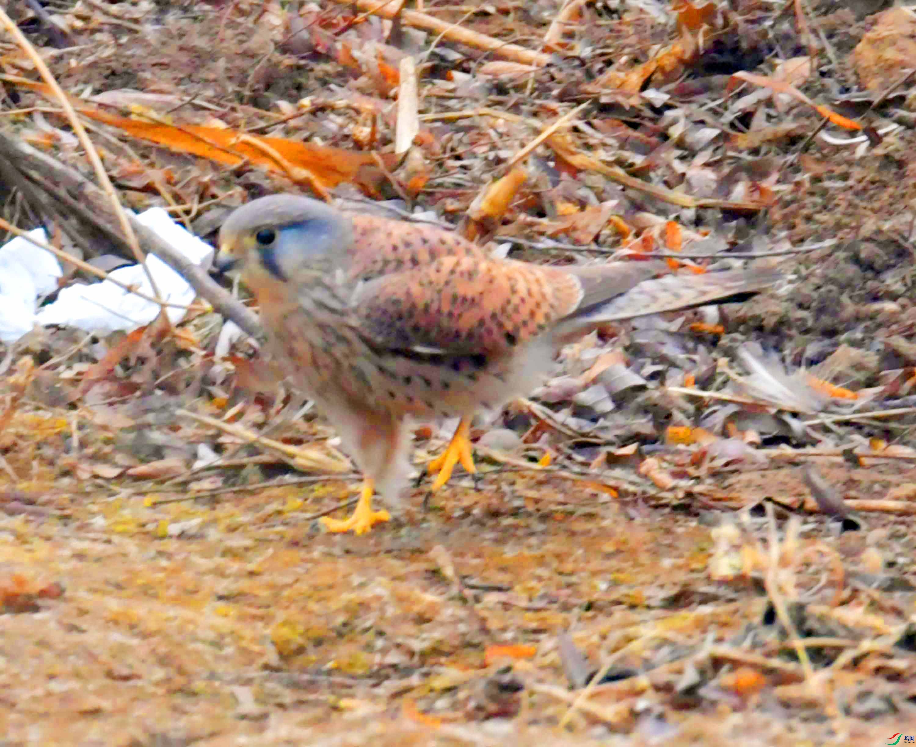 DSC_3934.JPG
