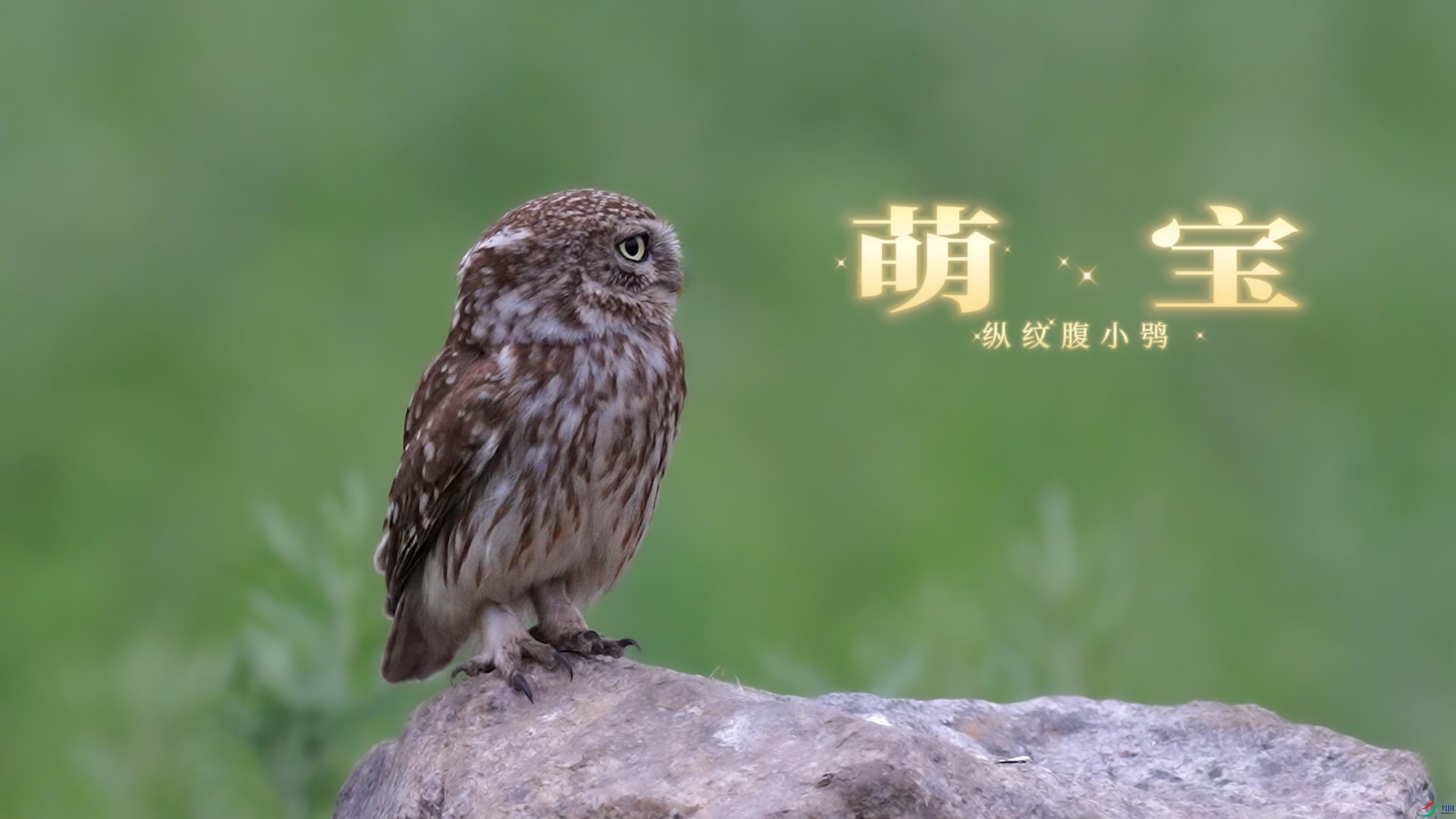 7��3�� (1)-����.jpg