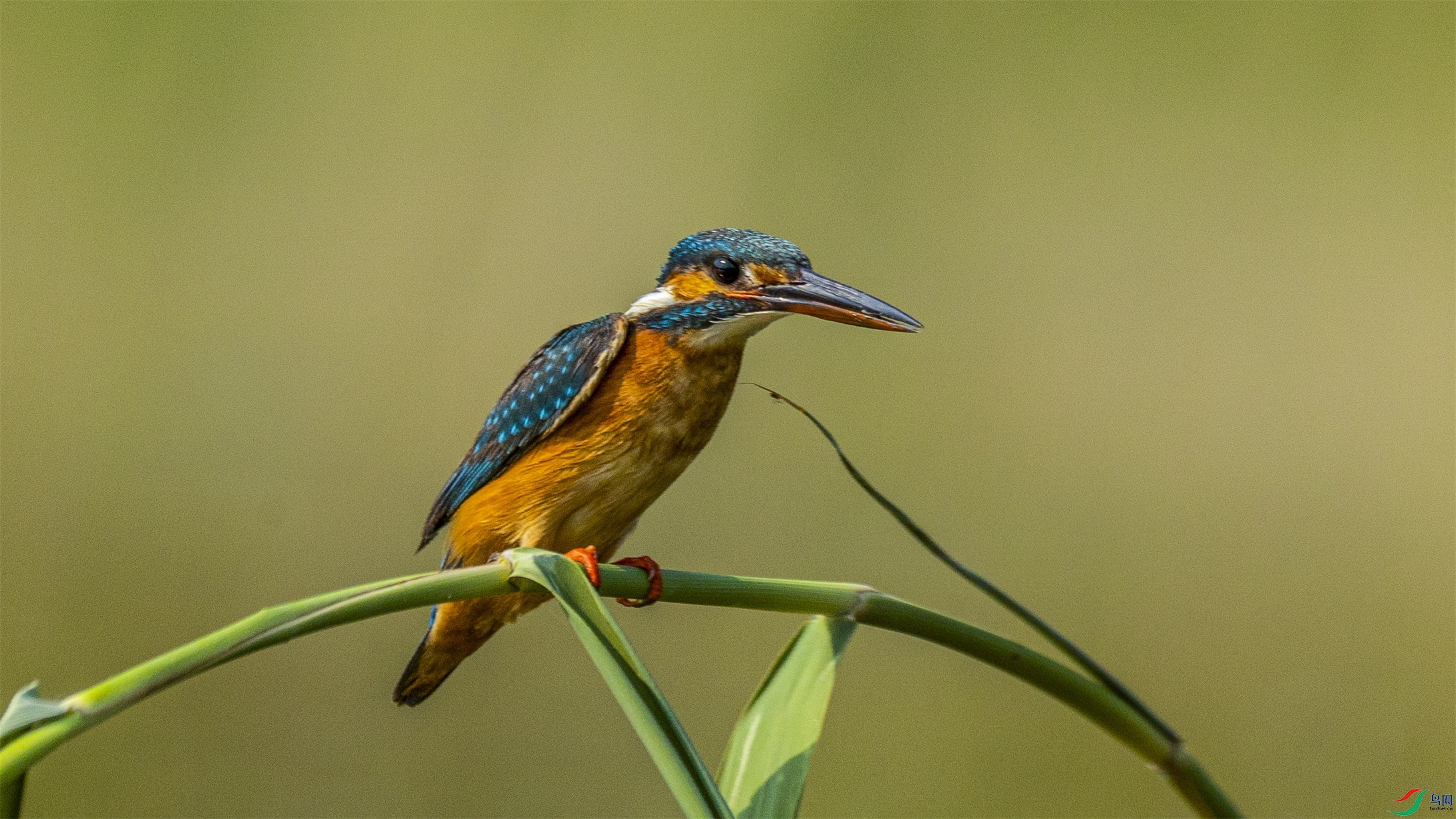 1K3A7640 ����1.jpg