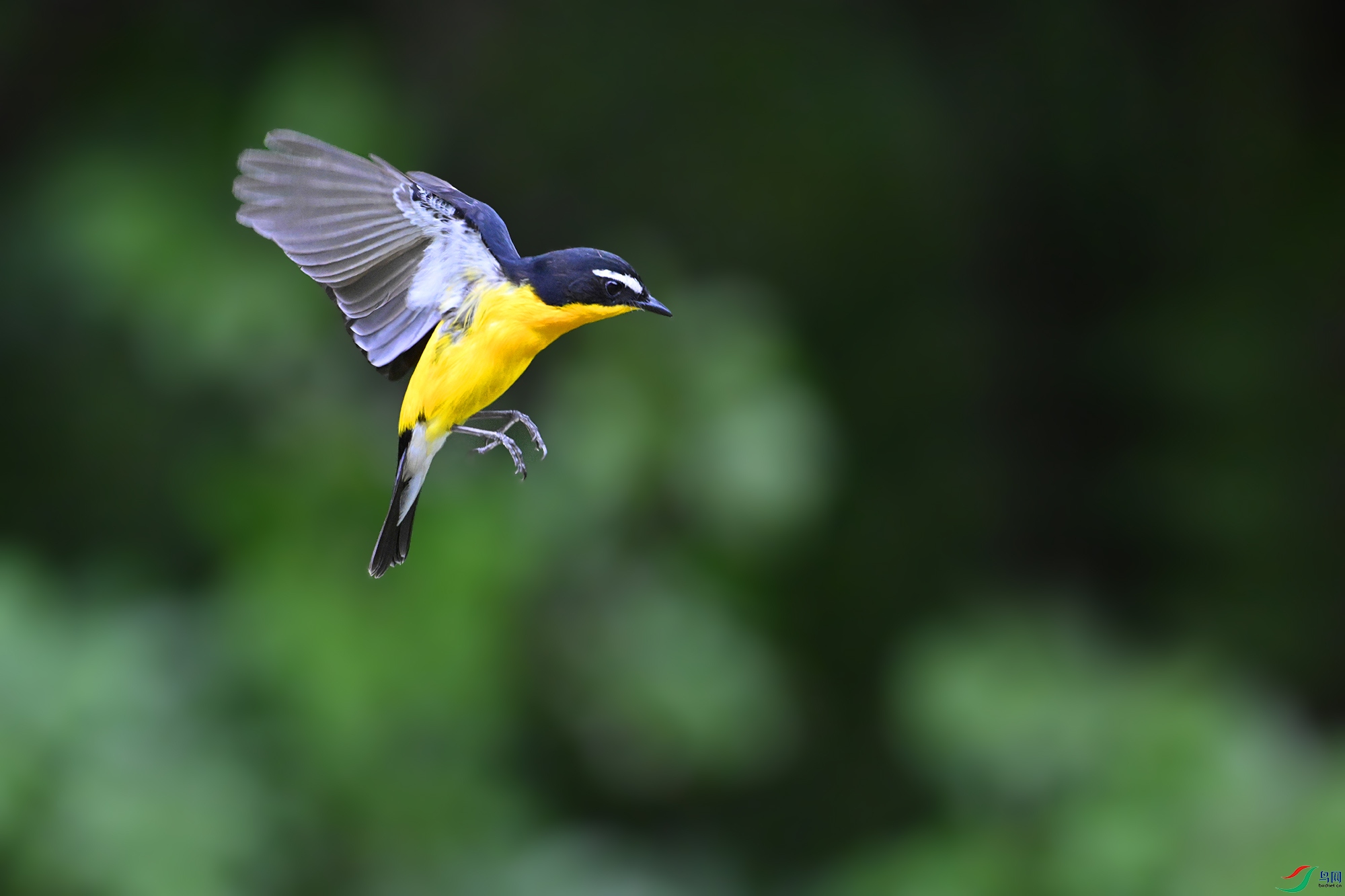 DSC_3179 - ����.JPG