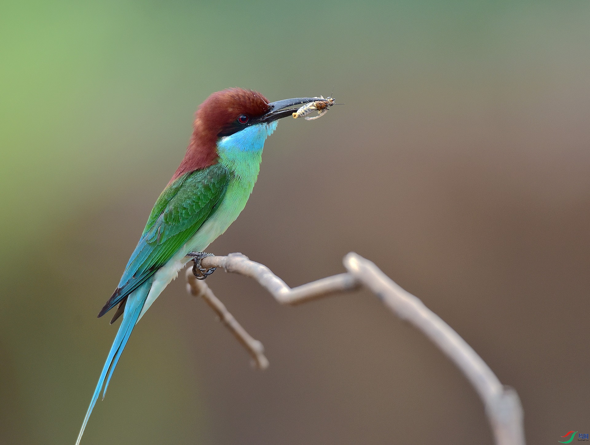 D8I_4567.jpg