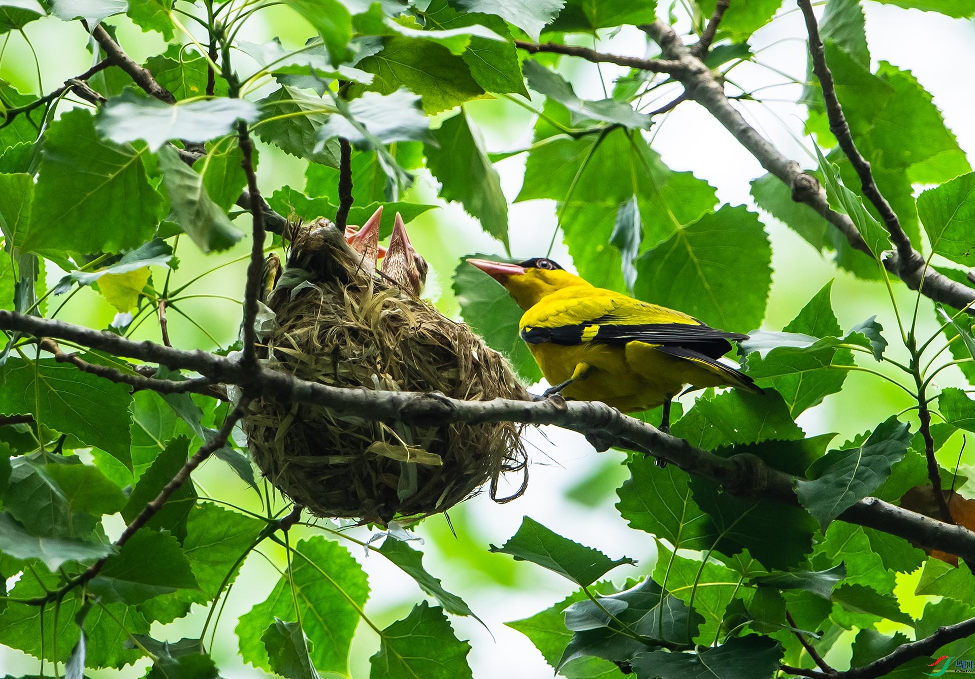 DSC_8215.jpg