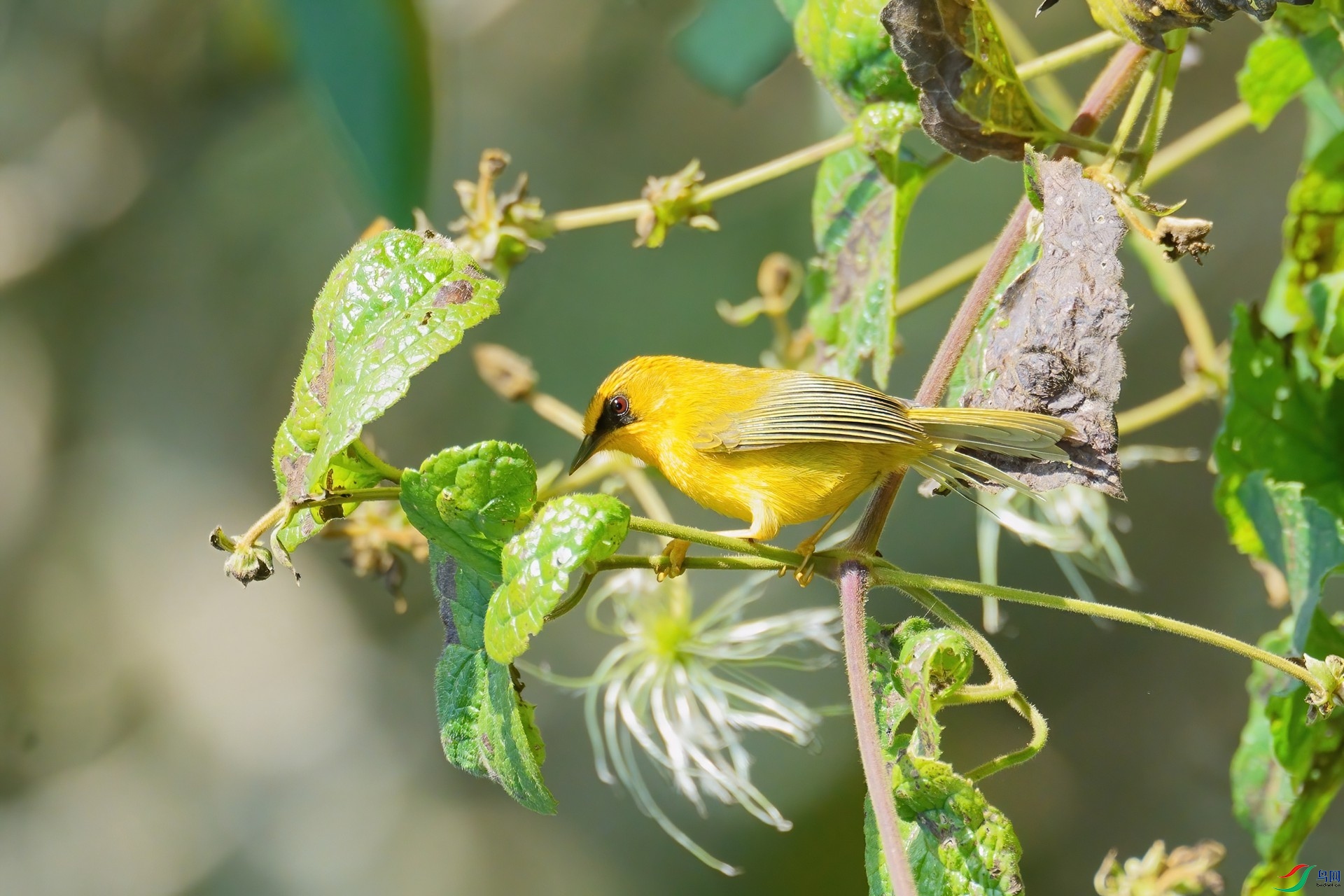 DSC03461 ����-DeNoiseAI-standard.jpg