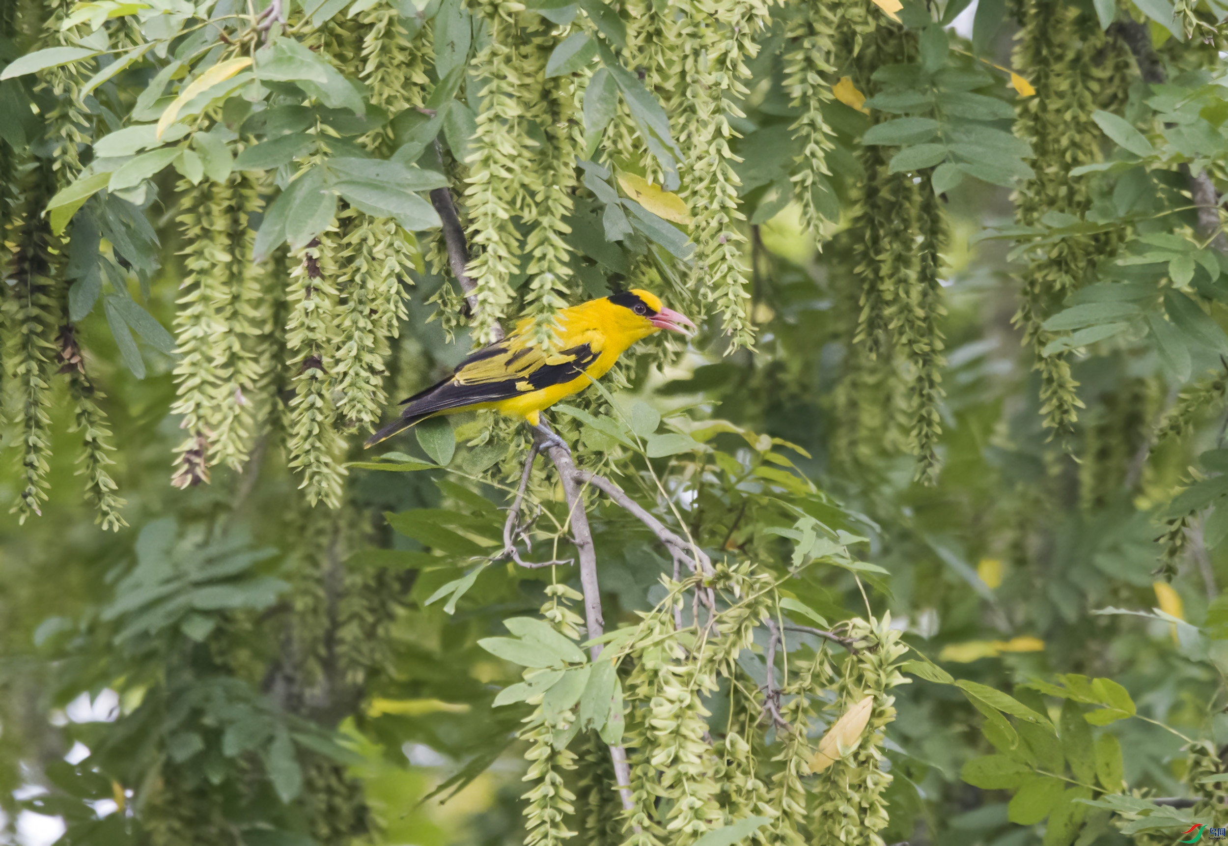 DSC_1941.jpg