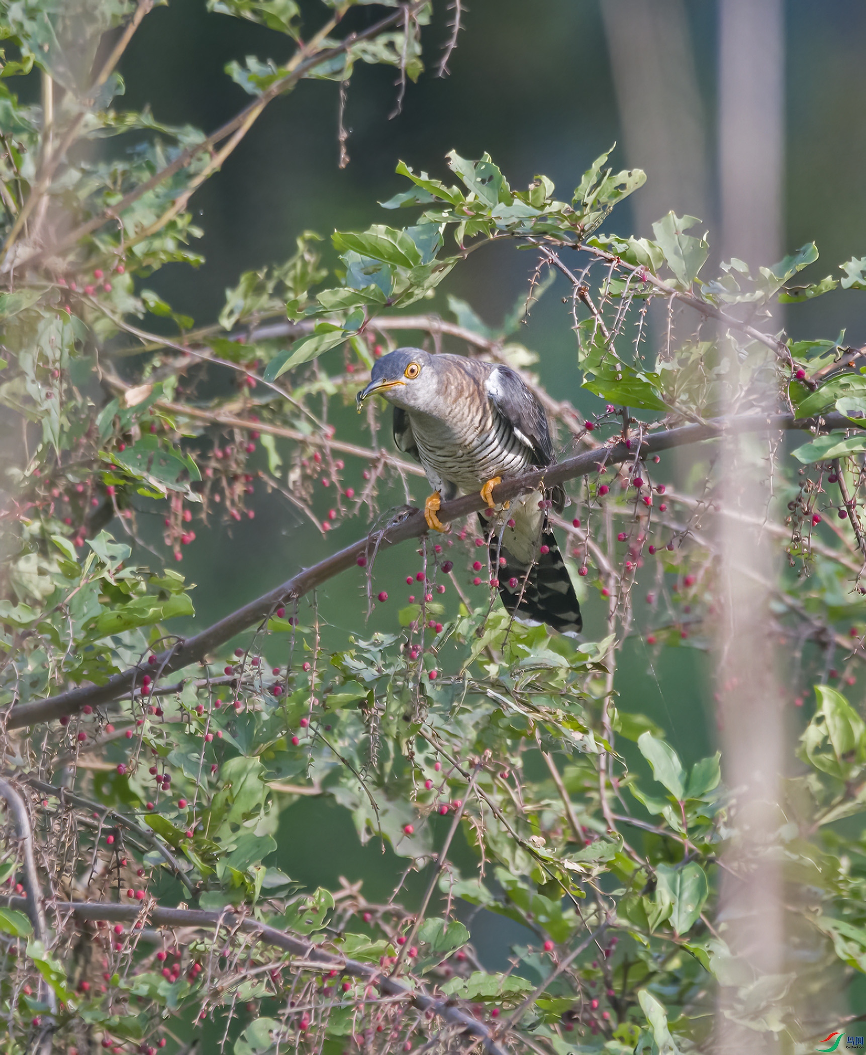 DSC_0170.jpg